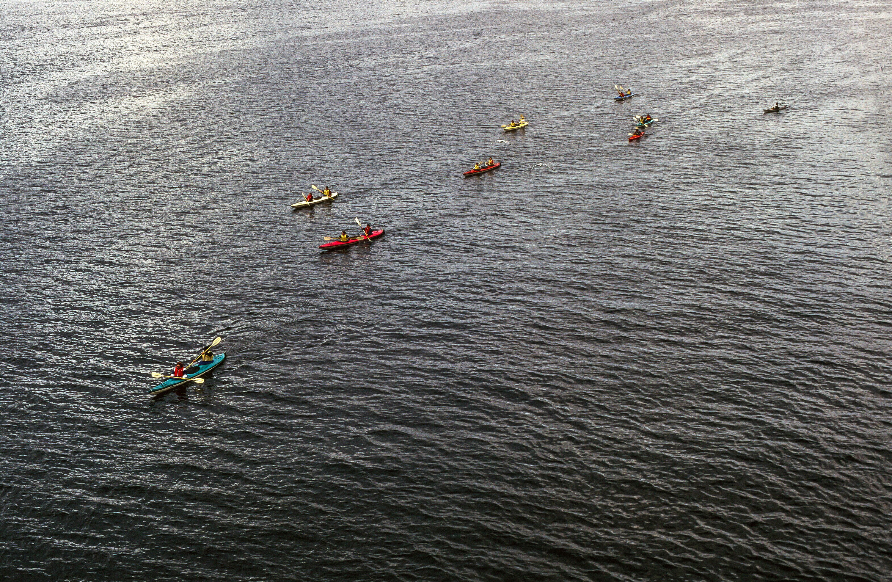 waterfront, outdoors, nautical vessel, kayakers, canoe, kayaks, travelers, 2K, nature, transportation, kayak, rafting, adventure, rescue, water, boating, HD Wallpaper