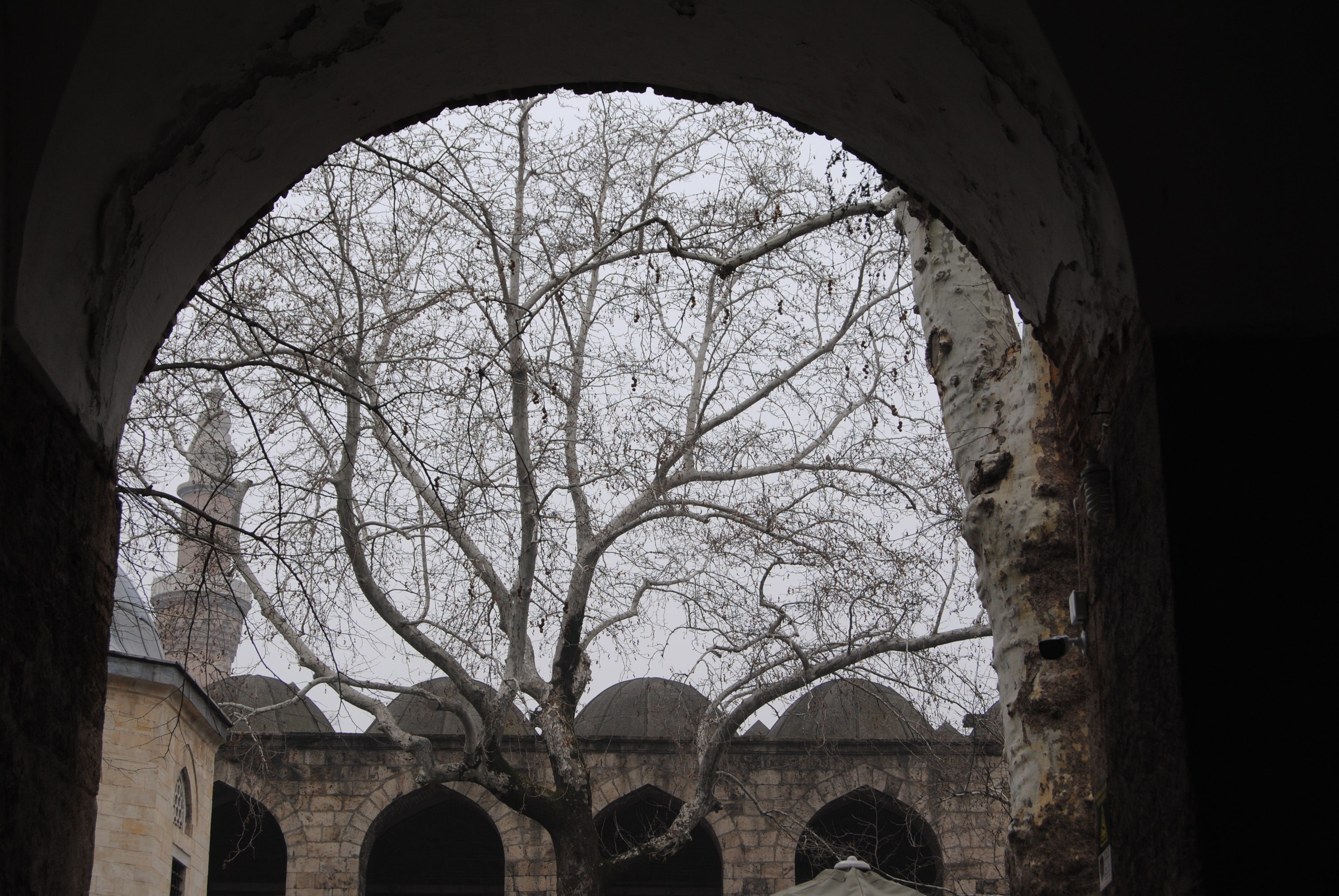 outdoors, sky, history, koza, architecture, nature, arch bridge, the past, branch, window, tree, low angle view, architectural column, building exterior, HD Wallpaper
