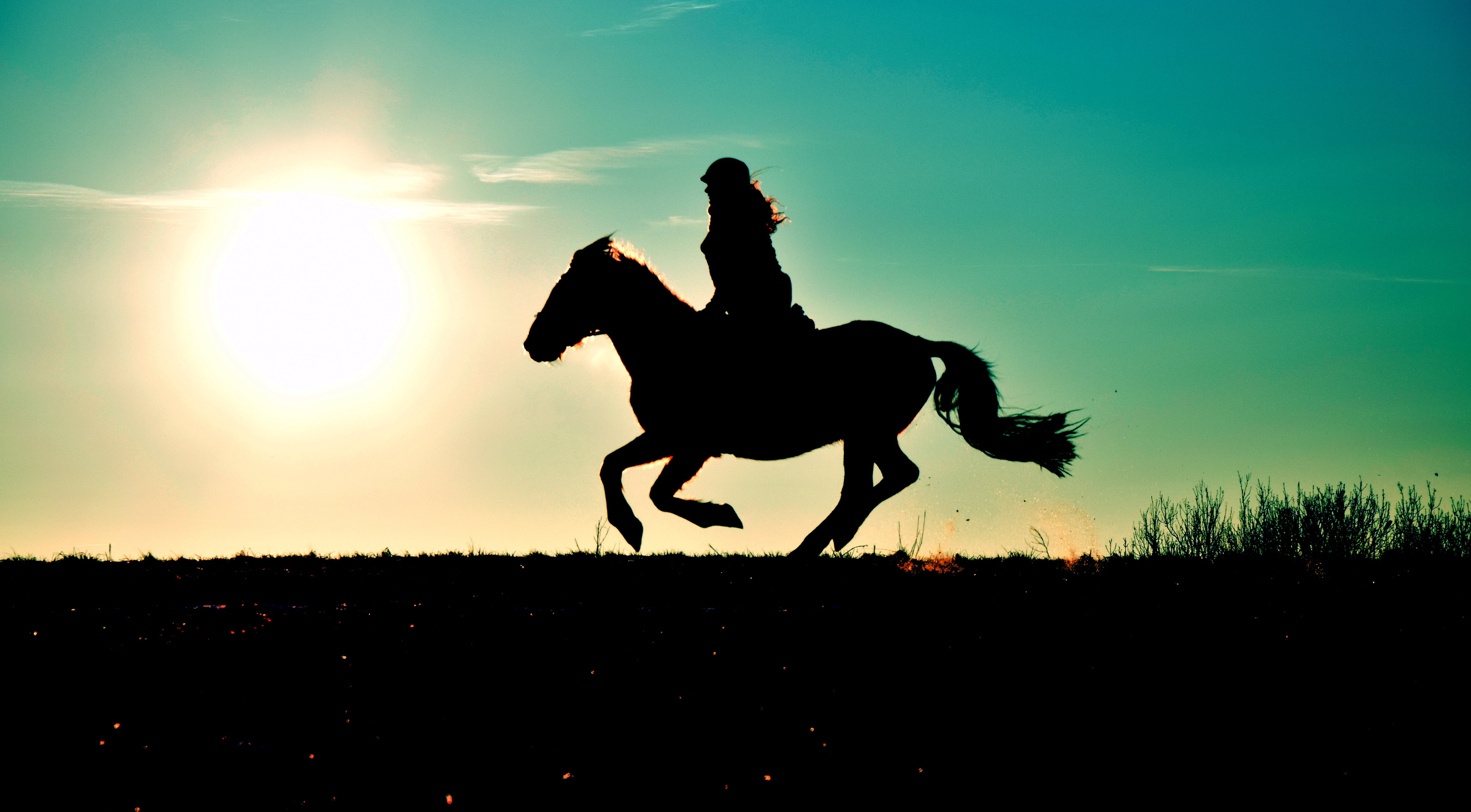 running, animal themes, domestic animals, horse, nature, gallop, sport, outdoors, woman, side view, stallion, pets, motion, livestock, animal, field, domestic, HD Wallpaper