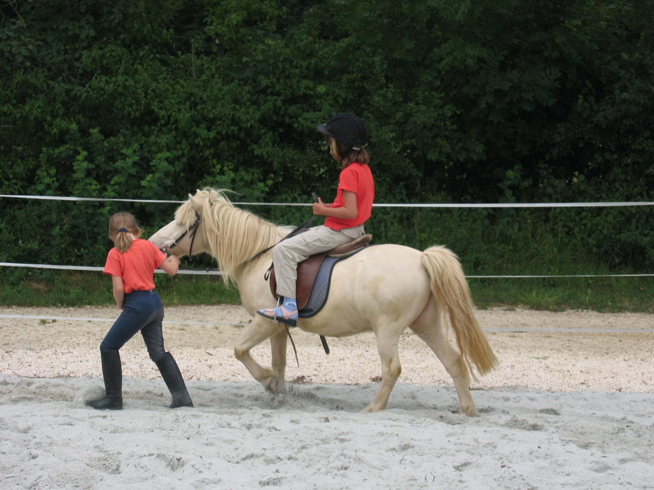 riding, real people, reiter, teenager, domestic animals, pets, plant, Horse, livestock, child, Ride, land, animal themes, animal wildlife, vertebrate, full length, HD Wallpaper