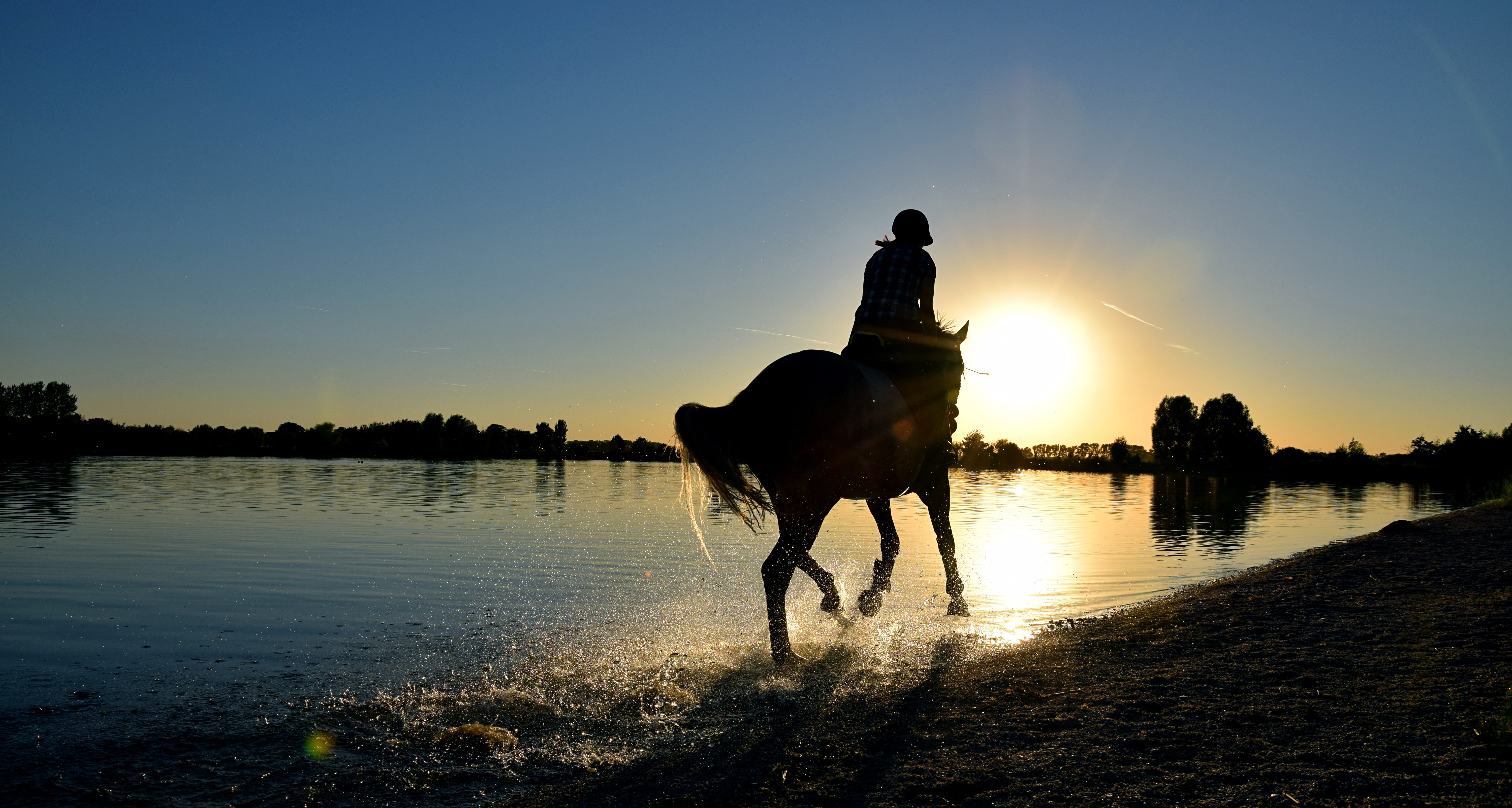 riding, silhouette, sunlight, person, pets, sunset, ride, sea, domestic animals, mammal, one person, sky, 5K, domestic, vertebrate, one animal, photography, HD Wallpaper