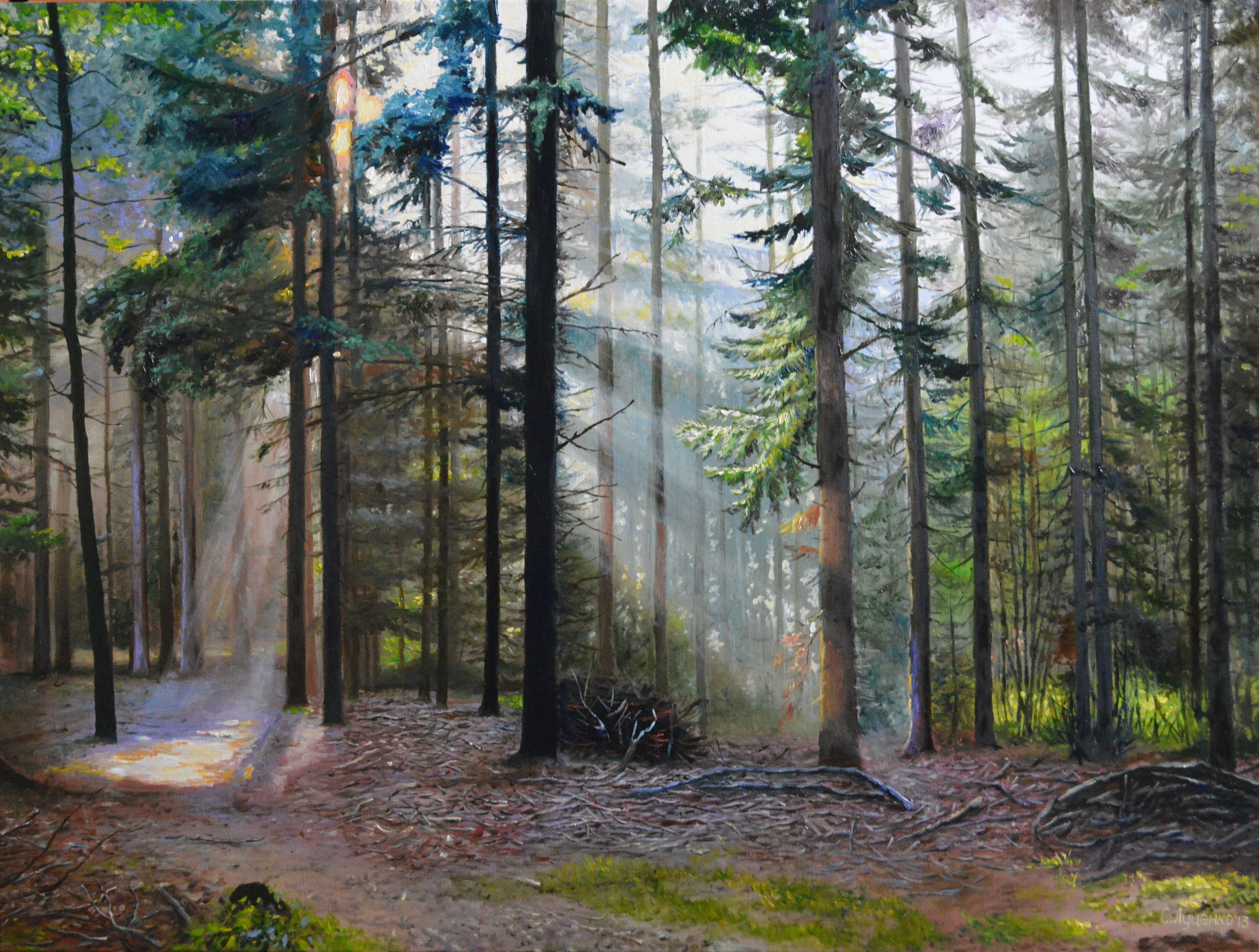 woodland, nature, pine woodland, forest, tranquil scene, tree trunk, burning, day, 4K, andquot;the Forgotten trailsandquot;, oil, tree, picture, tranquility, HD Wallpaper