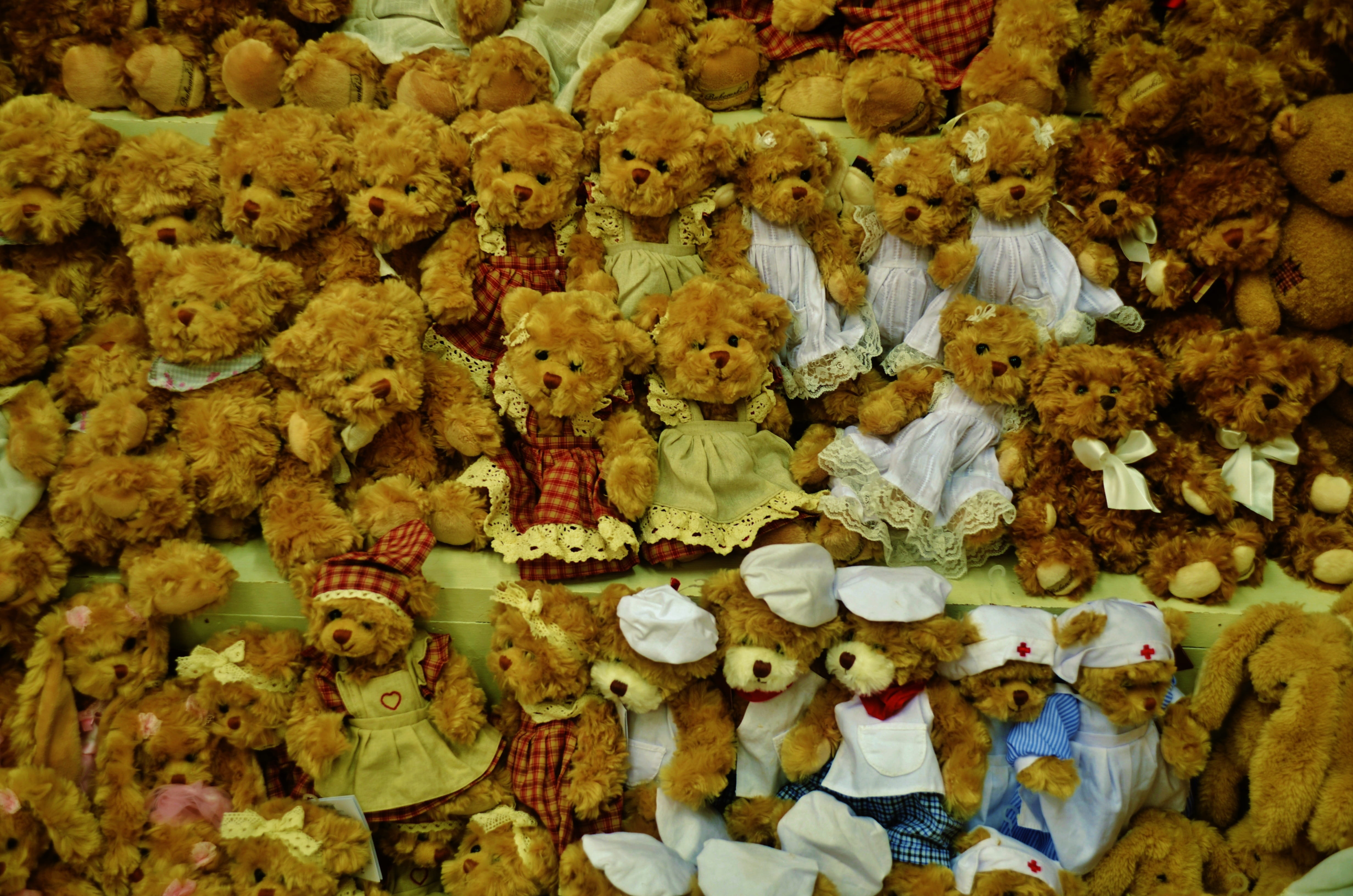 choice, representation, collection, child, market, bear, backgrounds, human representation, gift, Brown, fluffy, retail, Cute, retail display, market stall, HD Wallpaper