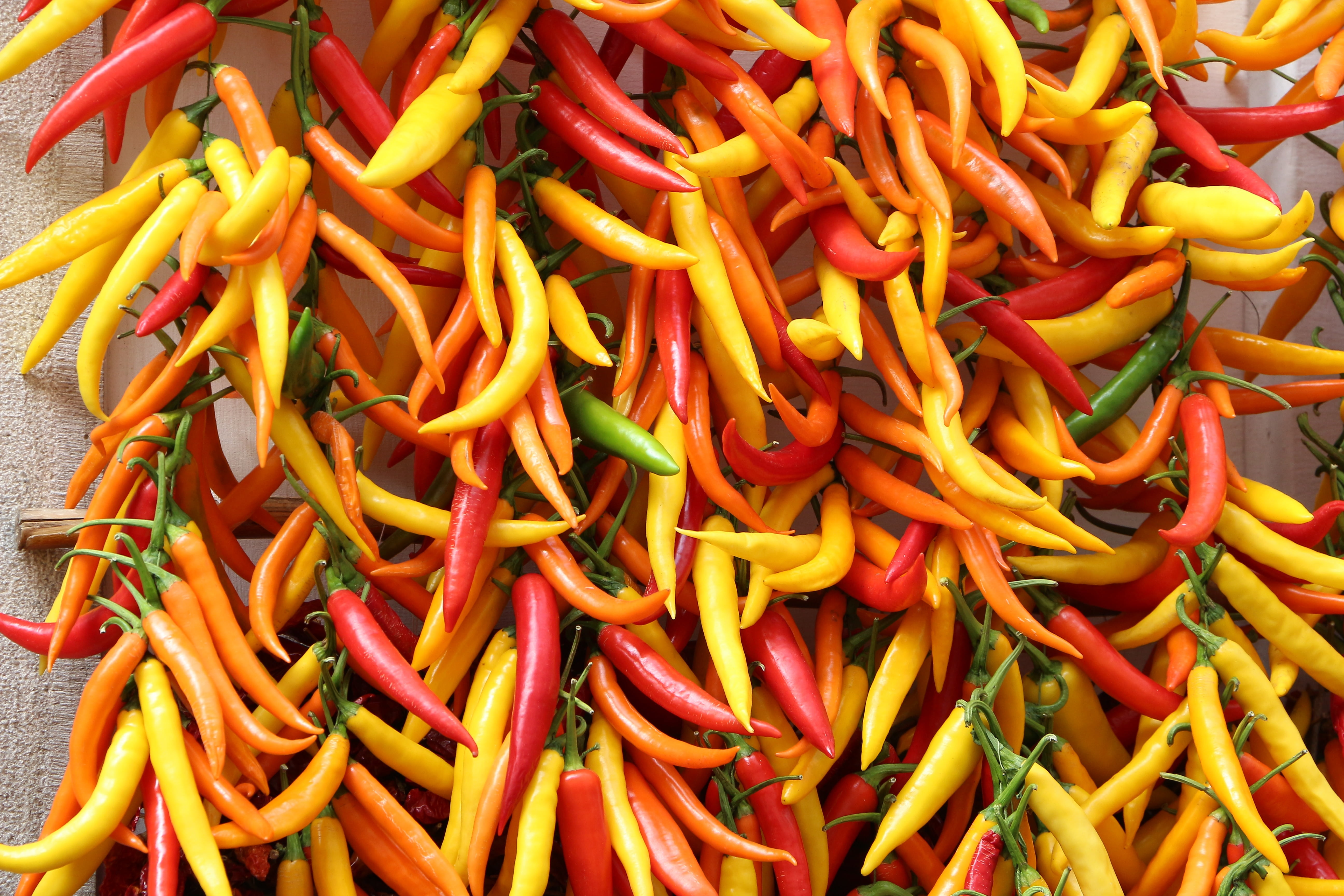 chili pepper, full frame, freshness, large group of objects, red chili pepper, pepper, food, sale, paprika, still life, chili, backgrounds, vegetable, food and drink, HD Wallpaper