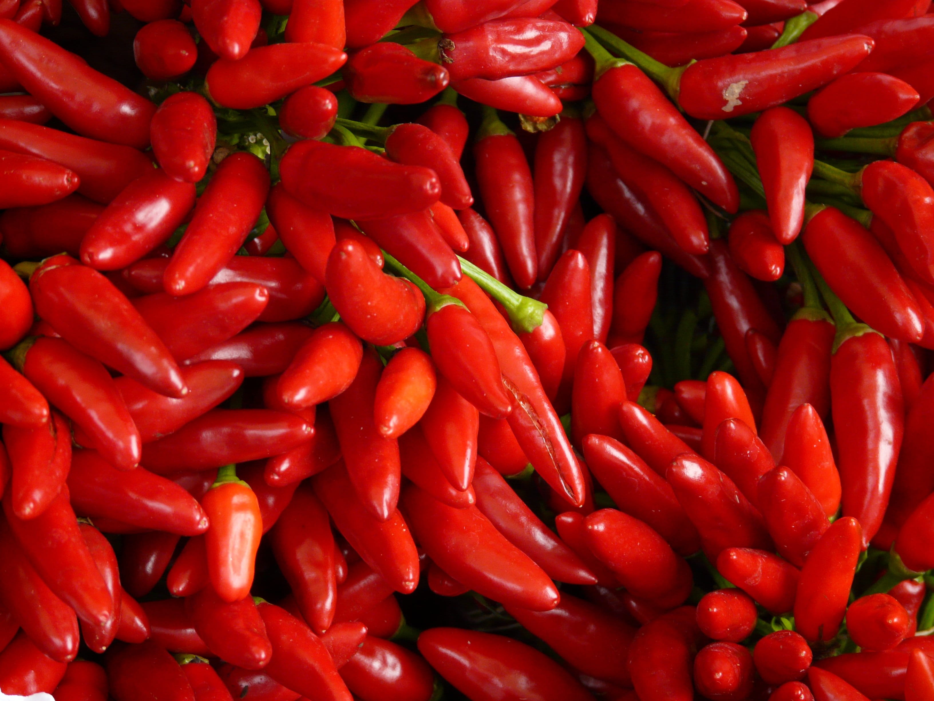 red Chili Pepper, abundance, healthy Eating, paprika, vegetarian food, large group of objects, ingredient, spice, red, seasoning, for sale, no people, nature, HD Wallpaper