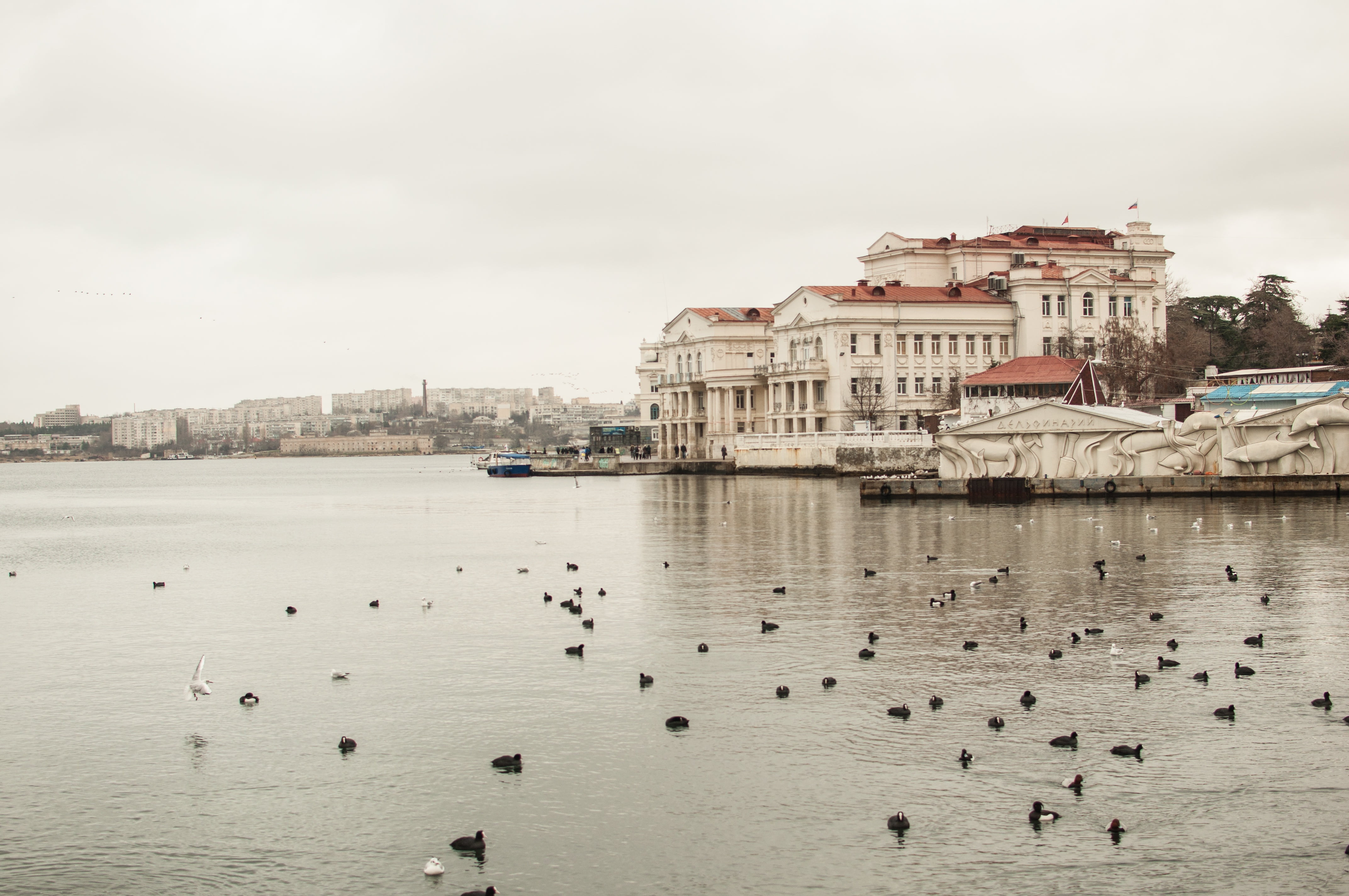 Crimea, Sevastopol, sea, 4K, winter in the Crimea, Bay, HD Wallpaper