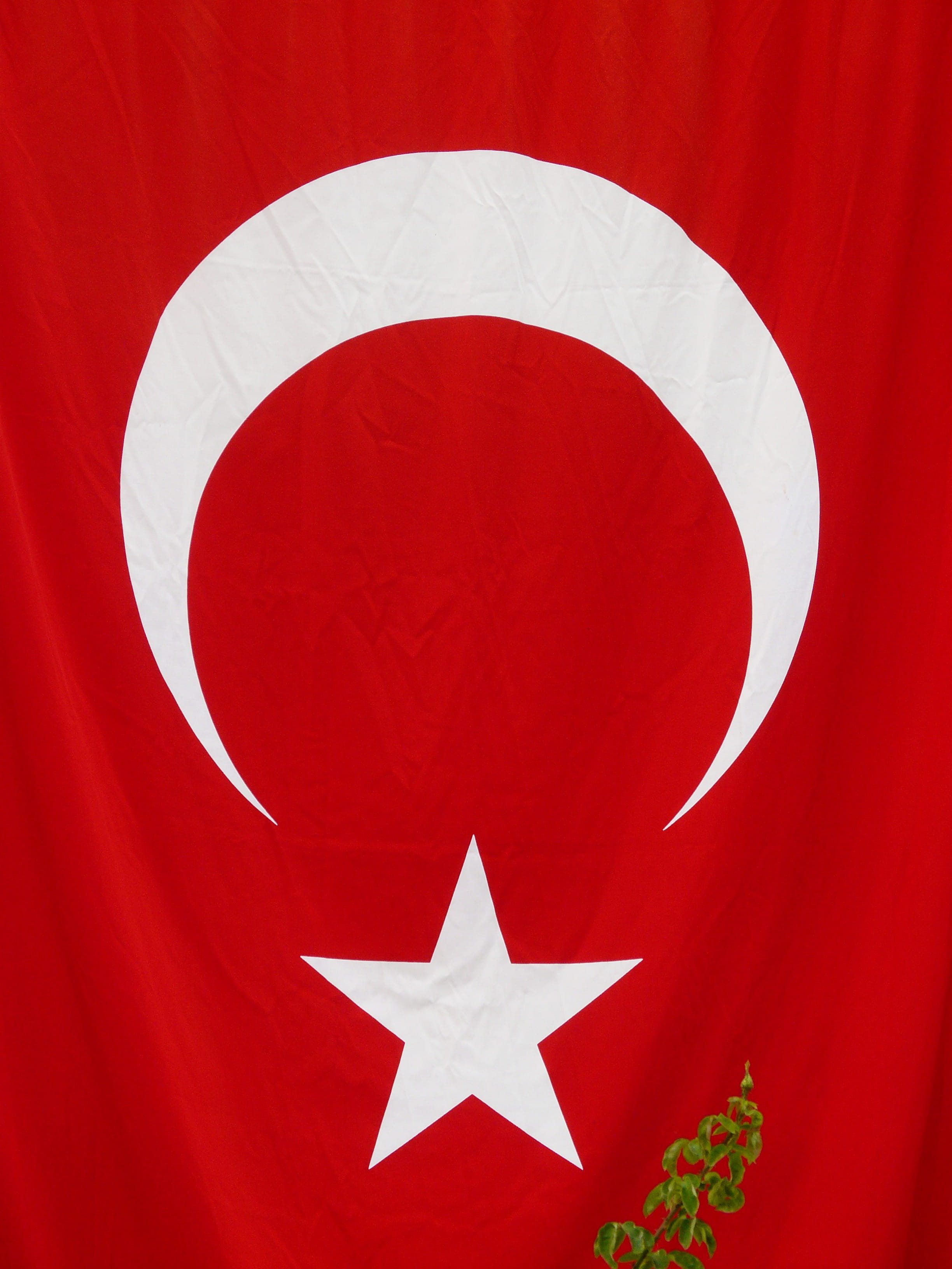 sign, textile, patriotism, red background, indoors, day, design, star, arts culture and entertainment, White, Star, 2K, star shape, white color, Turkey, Phone HD Wallpaper