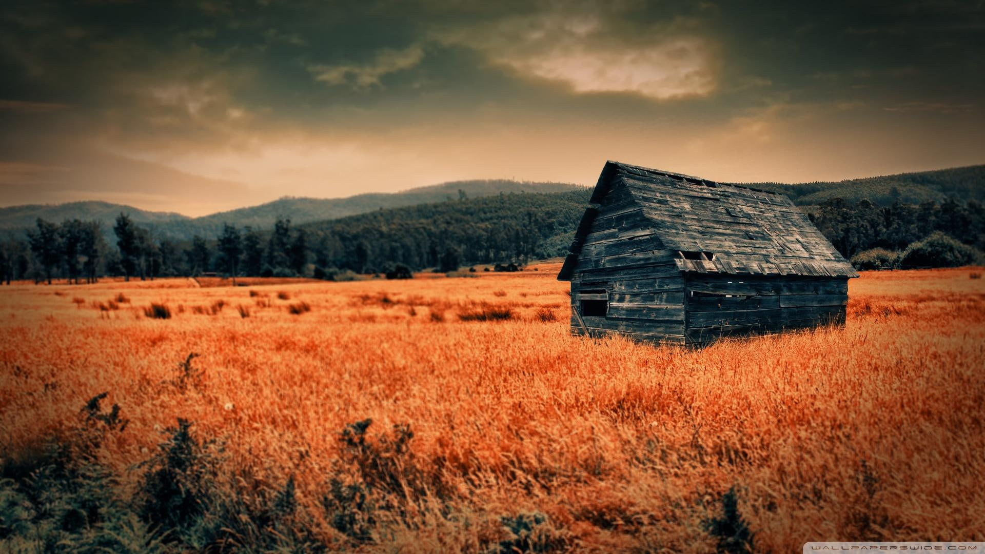 lonely, nature and landscapes, abandoned, cabin, 1080P, countryside, field, mountains, HD Wallpaper