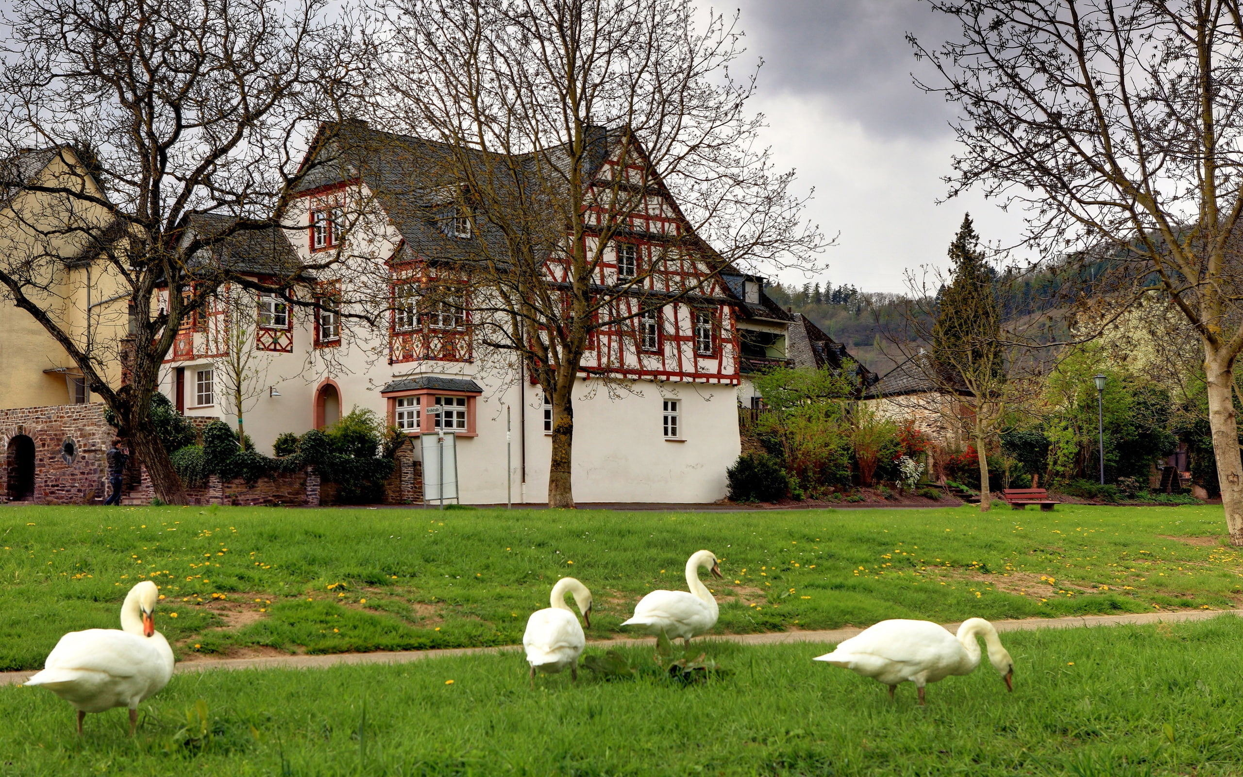 Countryside, 2K, Germany, HD Wallpaper