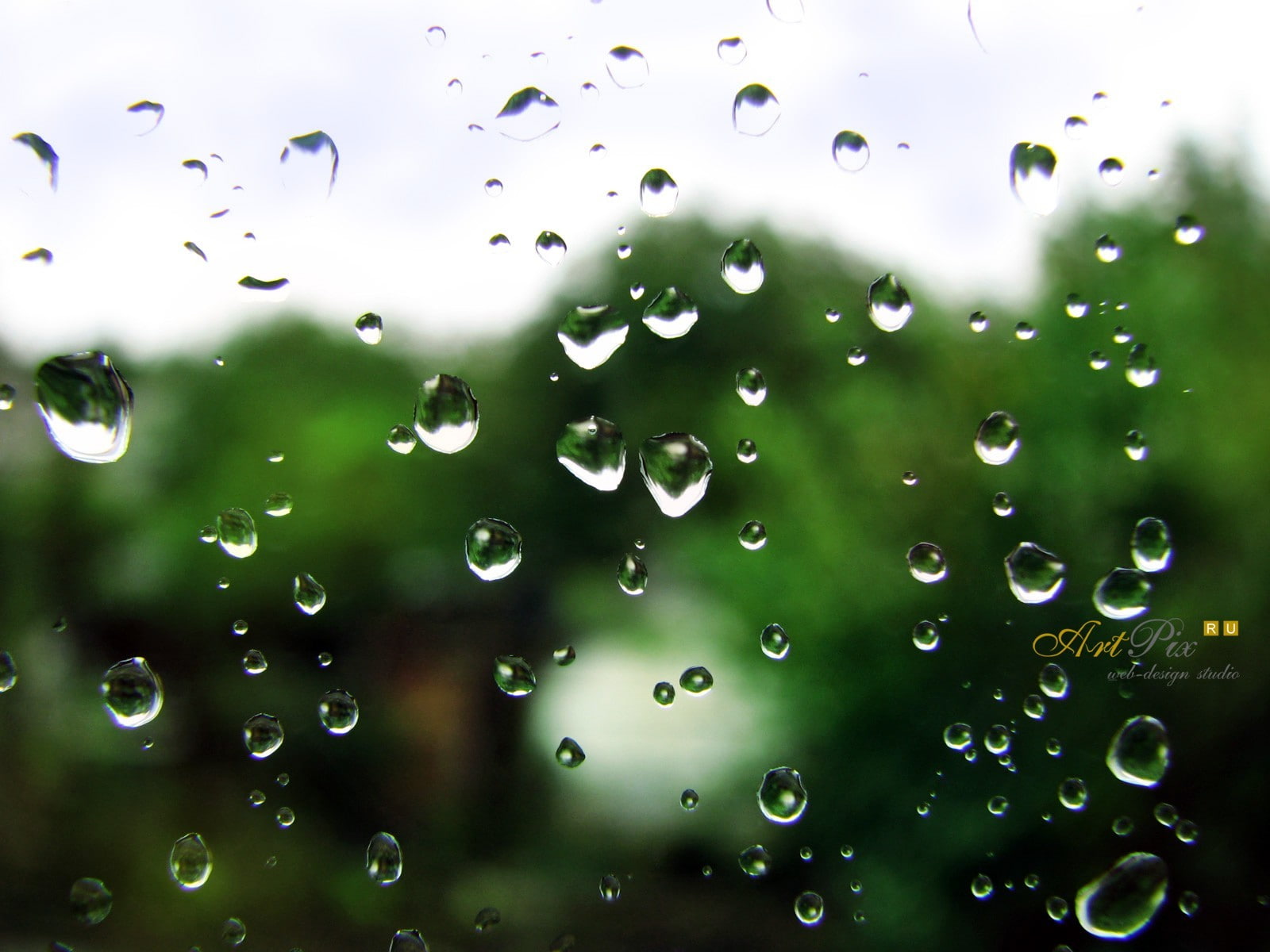 rain, beauty in nature, wet, window, no people, day, transparent, 720P, close-up, drop, nature, dew, plant, green color, water, full frame, freshness, HD Wallpaper