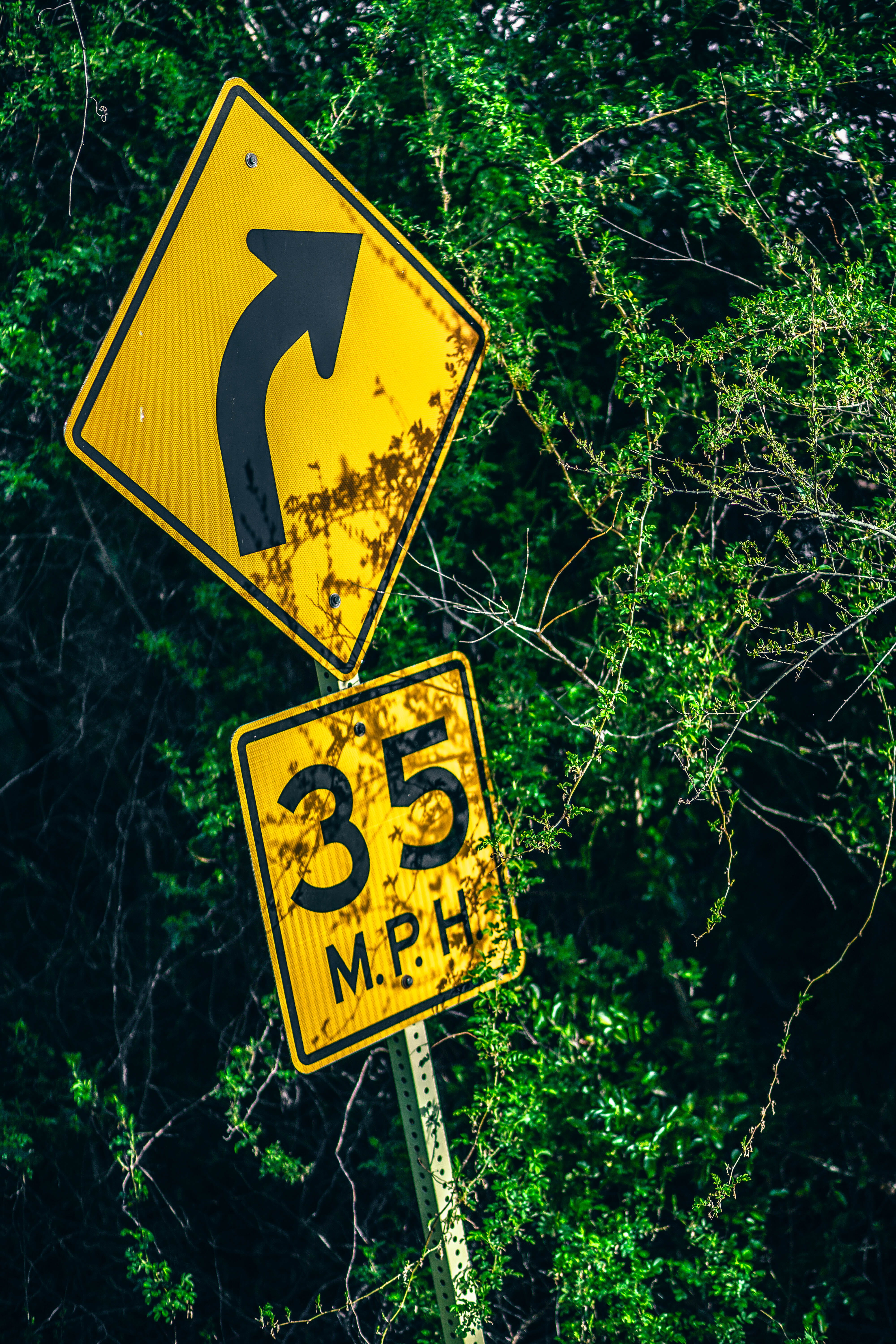 representation, post, outdoors, directional sign, wood, vegetation, object, symbol, road sign, crossing sign, tree, notice, 5K, text, warning, warning sign, Phone HD Wallpaper