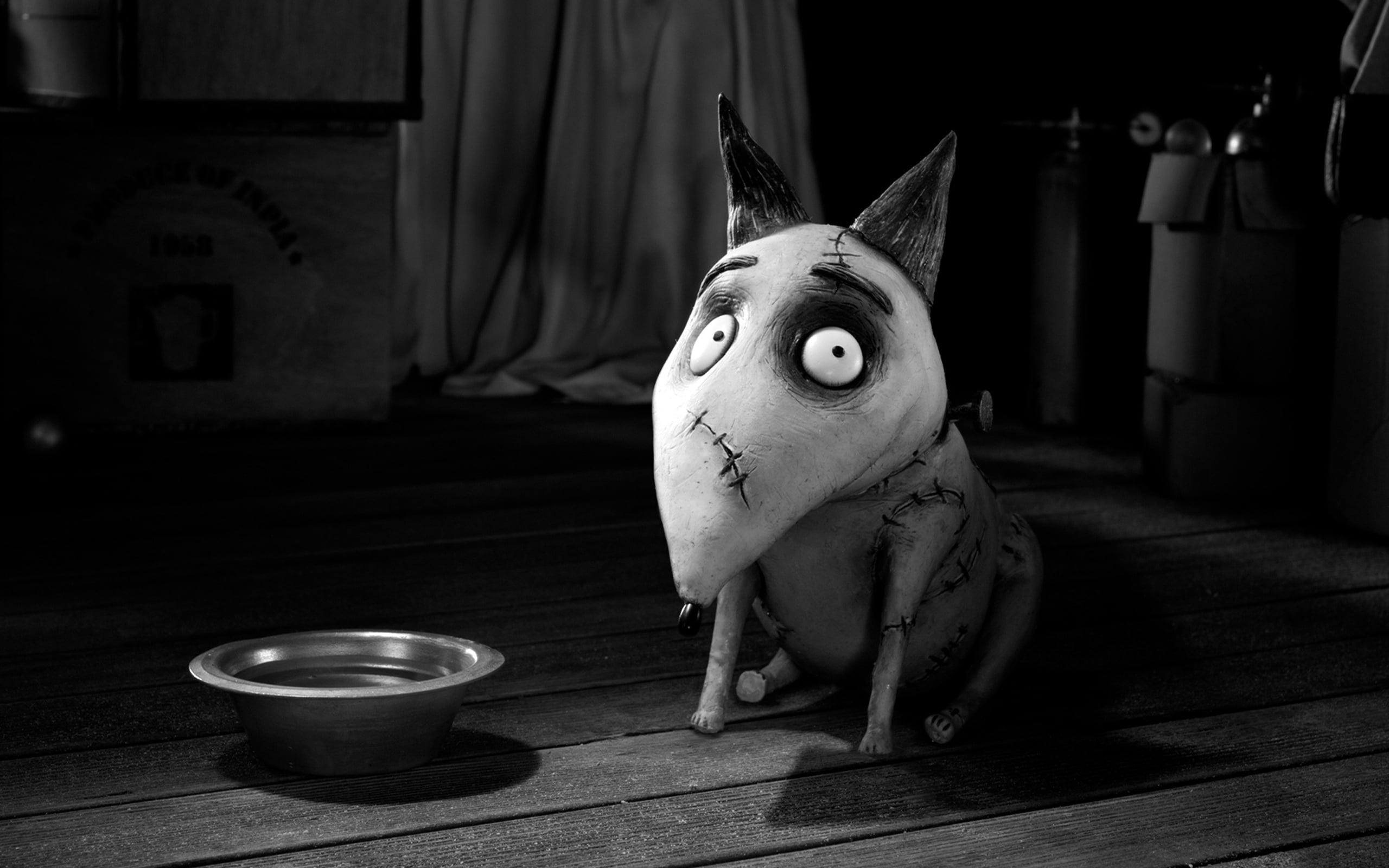 black And White, frankenweenie, toy, victor frankenstien, table, pets, domestic, small, dog, focus on foreground, beside, mammal, looking away, charlie tahan, HD Wallpaper