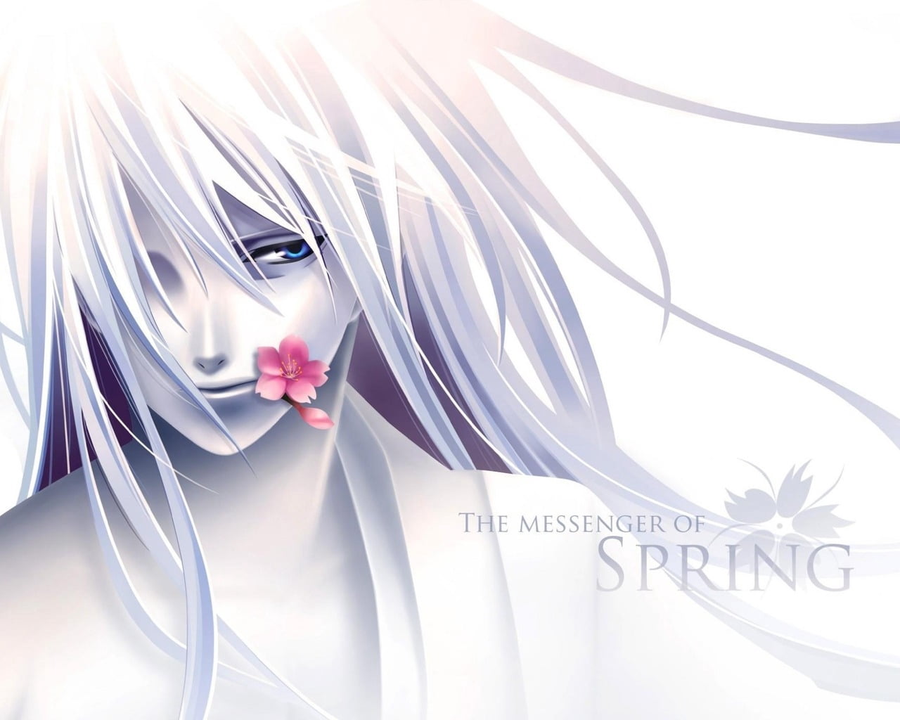 indoors, white background, spring, representation, studio shot, education, messenger, connection, text, still life, messenger of spring, reflection, HD Wallpaper