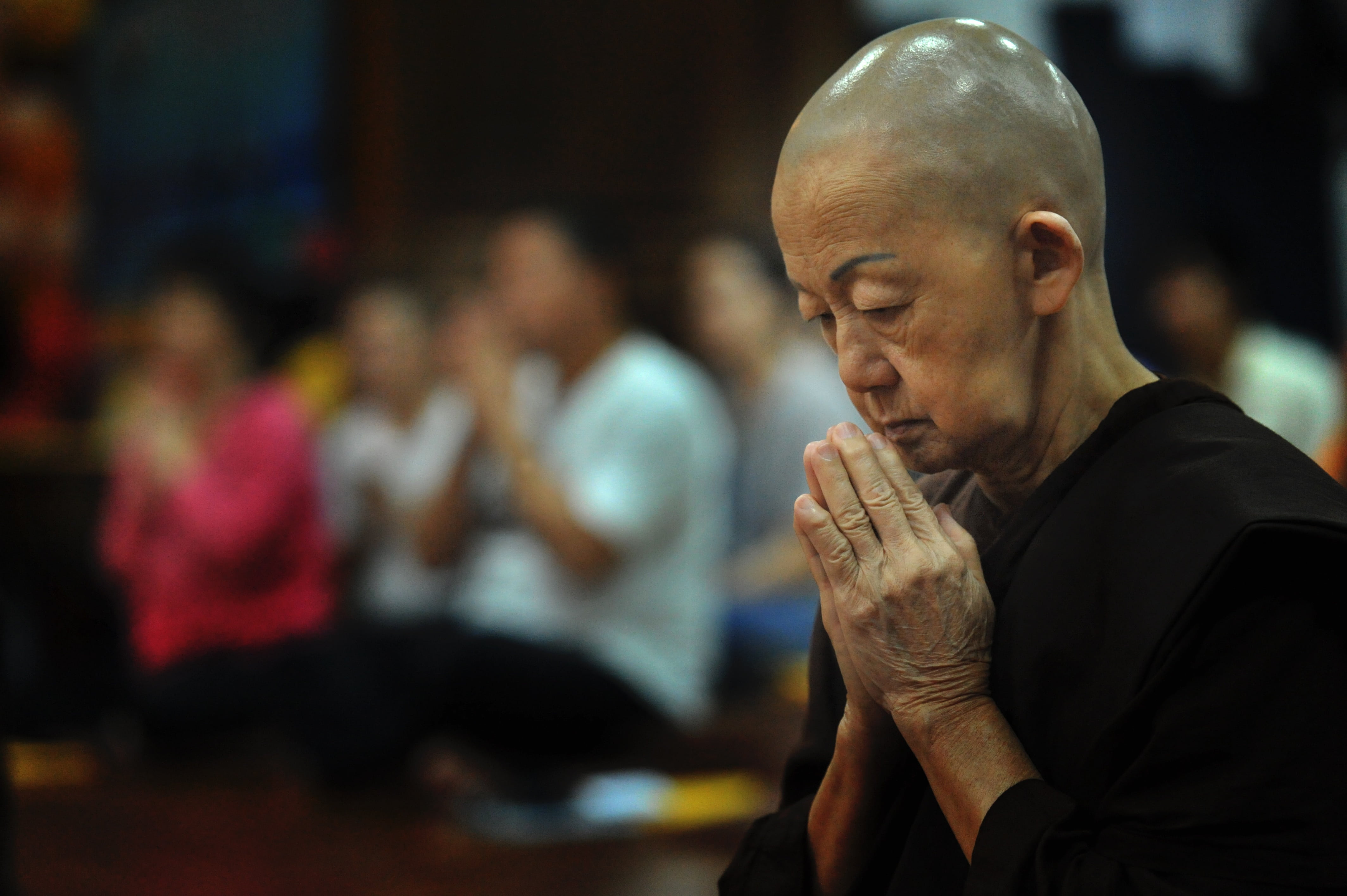religion, males, old nun, artist, hair loss, monastic, old, waist up, mid adult, theravada buddhism, adult, shaved head, arts culture and entertainment, HD Wallpaper