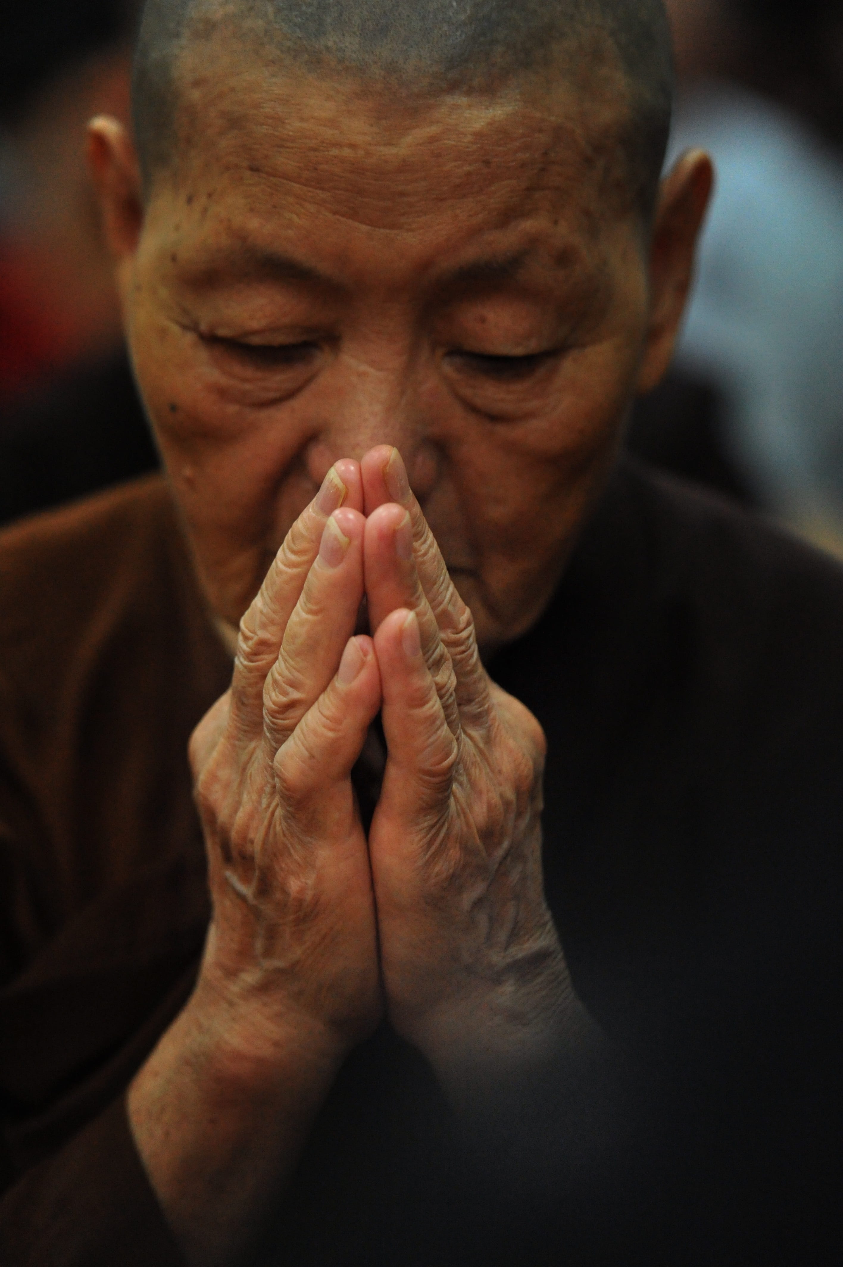 emotion, sayalay, senior adult, brown, senior men, aged, hands clasped, old, theravada buddhism, spirituality, nun, hand, body part, worship, 4K, top, Phone HD Wallpaper