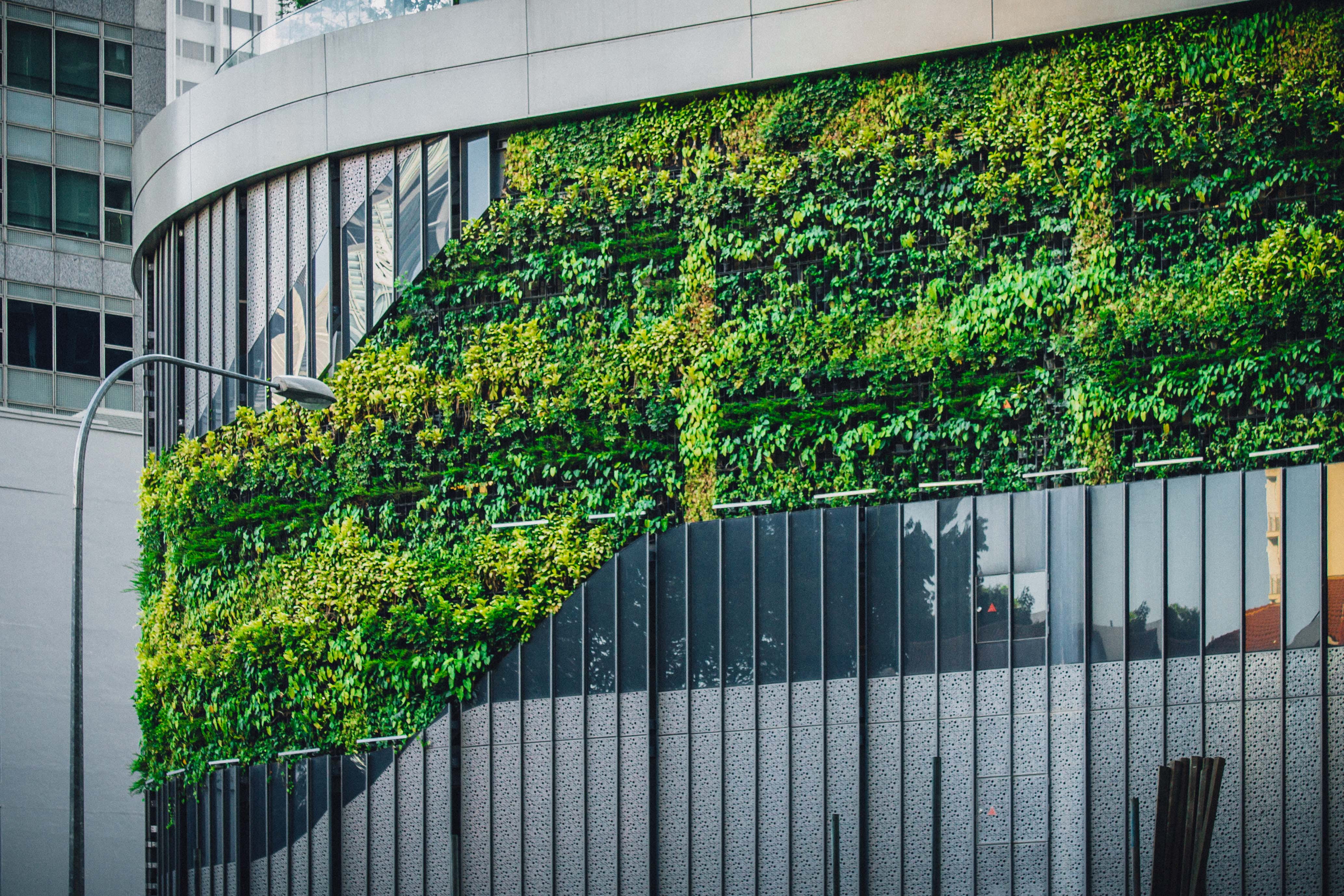 building exterior, photography, nature, green color, financial district, building, office, tree, gray, plant, architectural, modern, glass, fence, city, HD Wallpaper