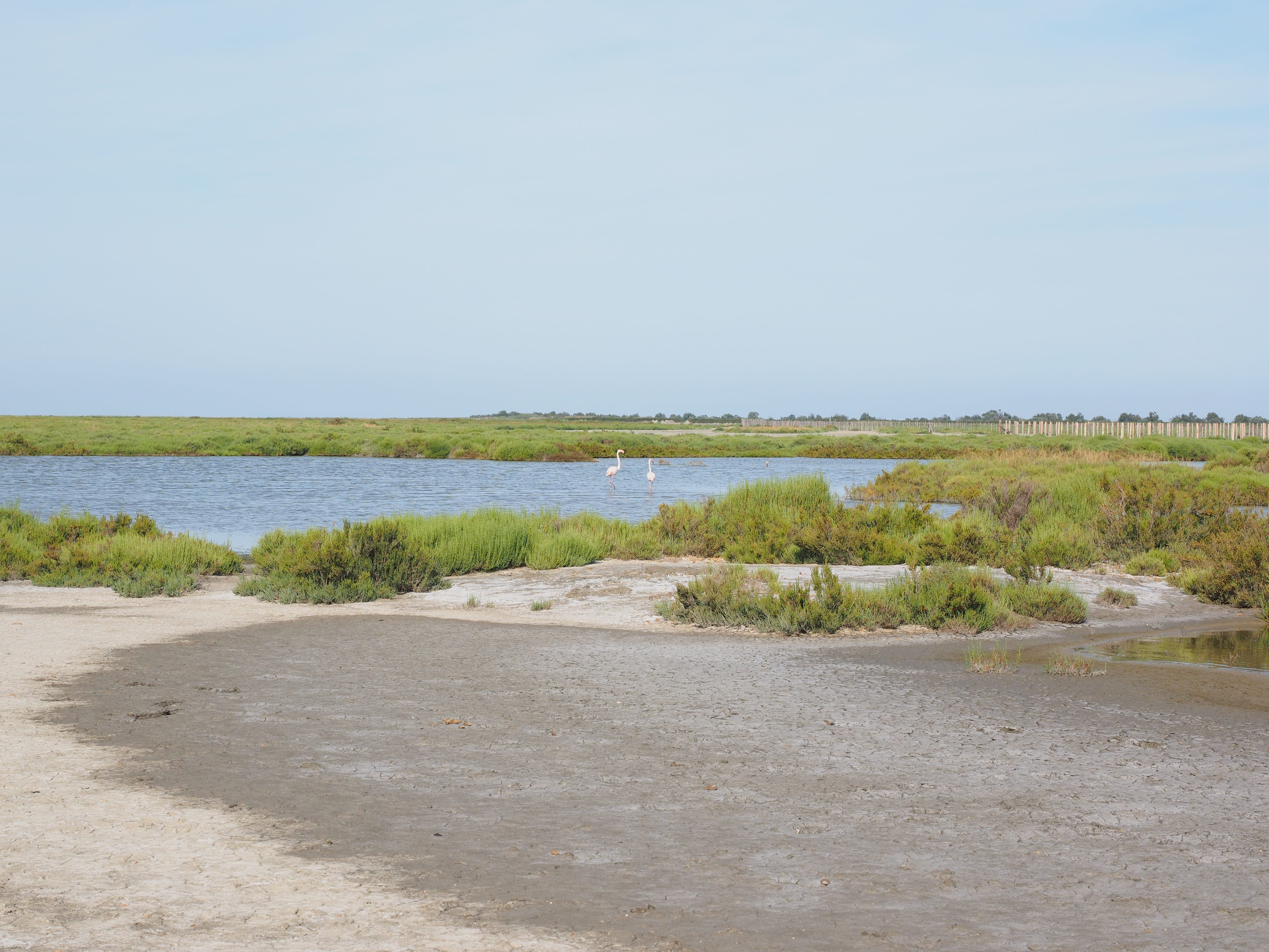 sand, france, land, nature park camargue, 4K, day, beauty in nature, non-urban scene, sea, tranquility, saltwater-lagoon, nature, lagoon, beach, no people, HD Wallpaper