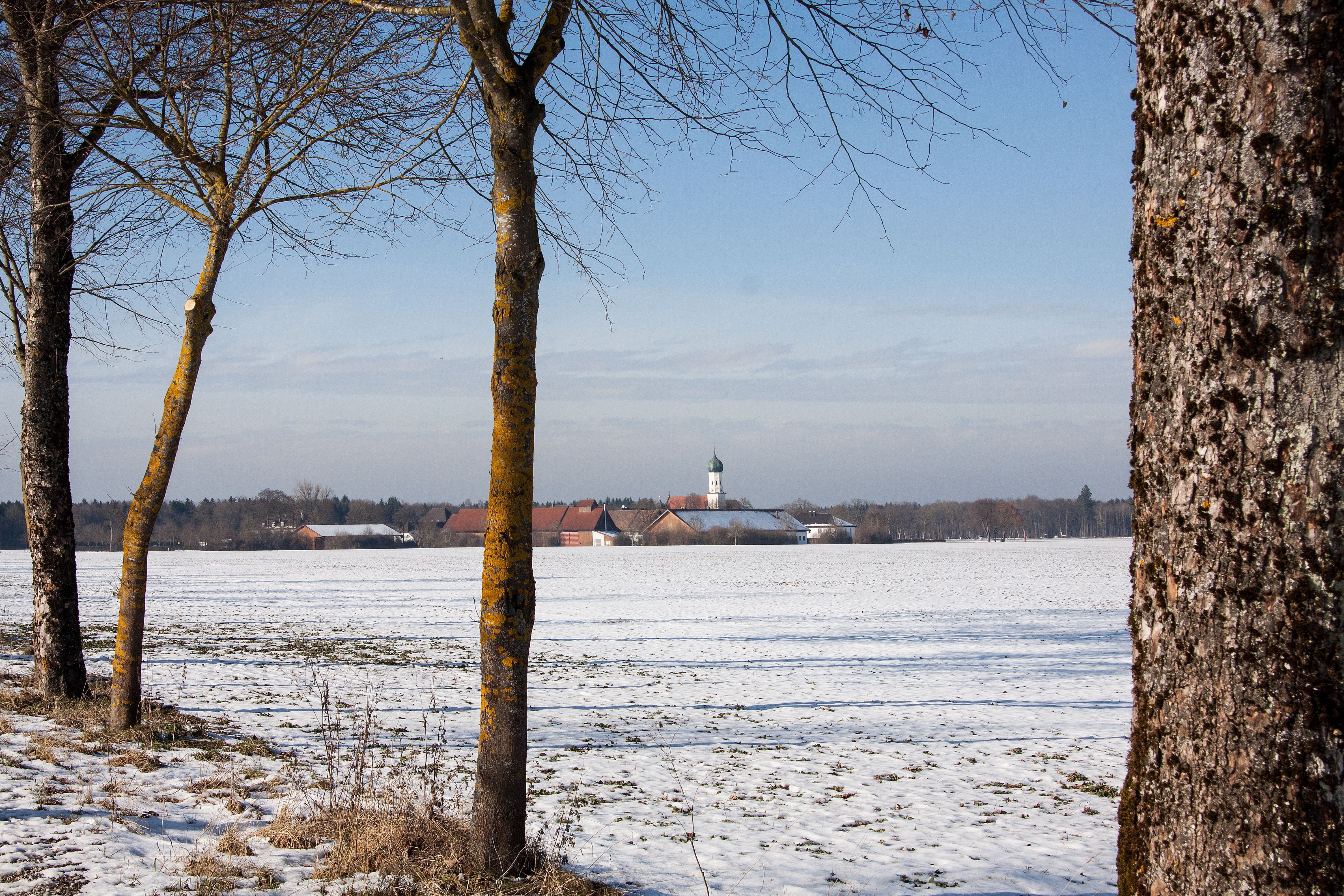 land, 4K, built structure, winter, scenics - nature, building exterior, plant, nature, outdoors, bare tree, winter dream, wintry, trees, day, pilgrimage for ill patients eye, HD Wallpaper