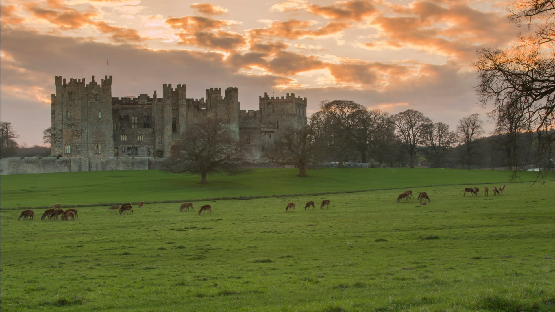 Raby Castle, Castles, 1080P, HD Wallpaper