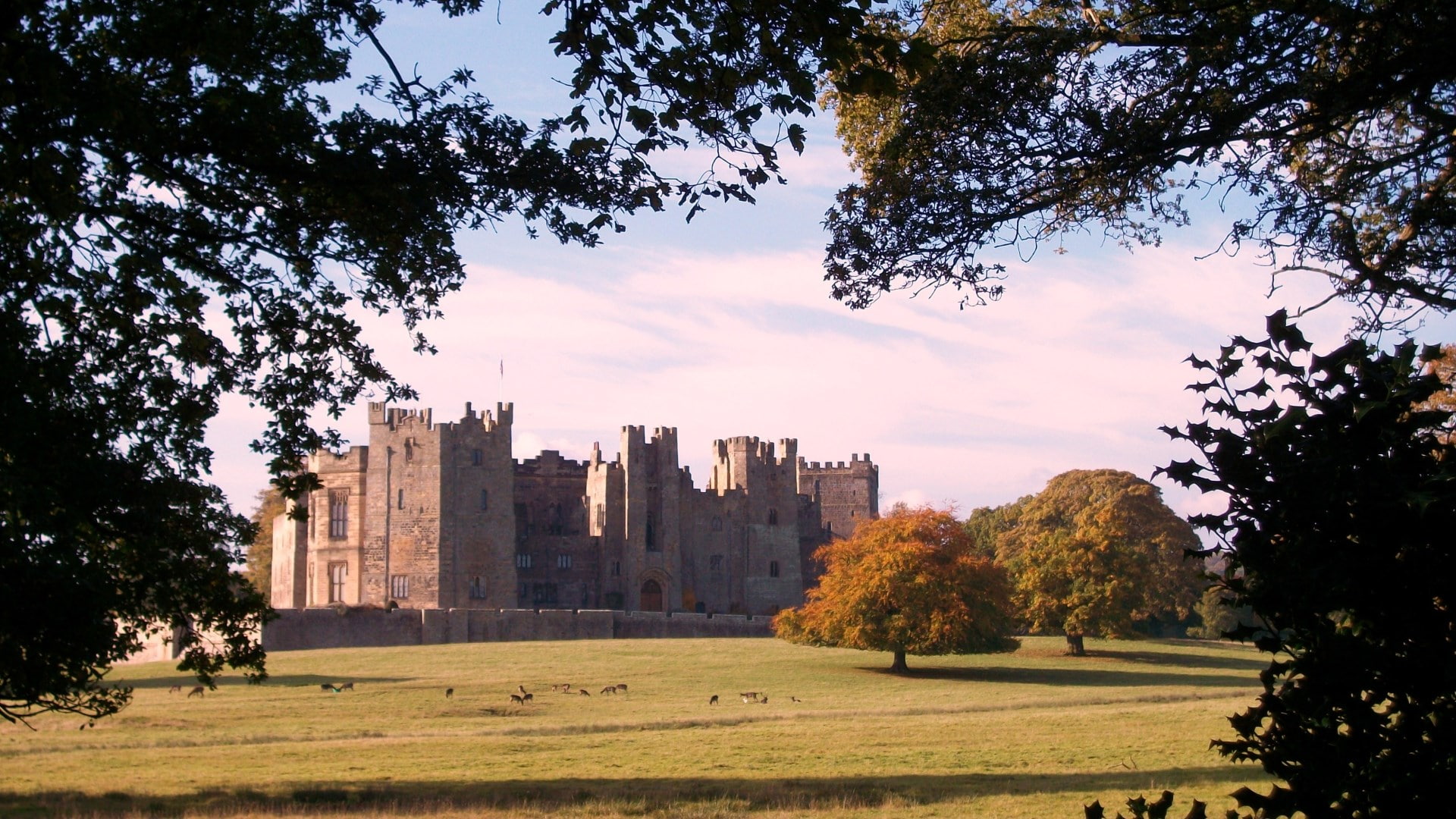 building exterior, building, apartment, nature, city, day, built structure, autumn, plant, park, outdoors, the past, grass, raby castle, no people, tree, HD Wallpaper