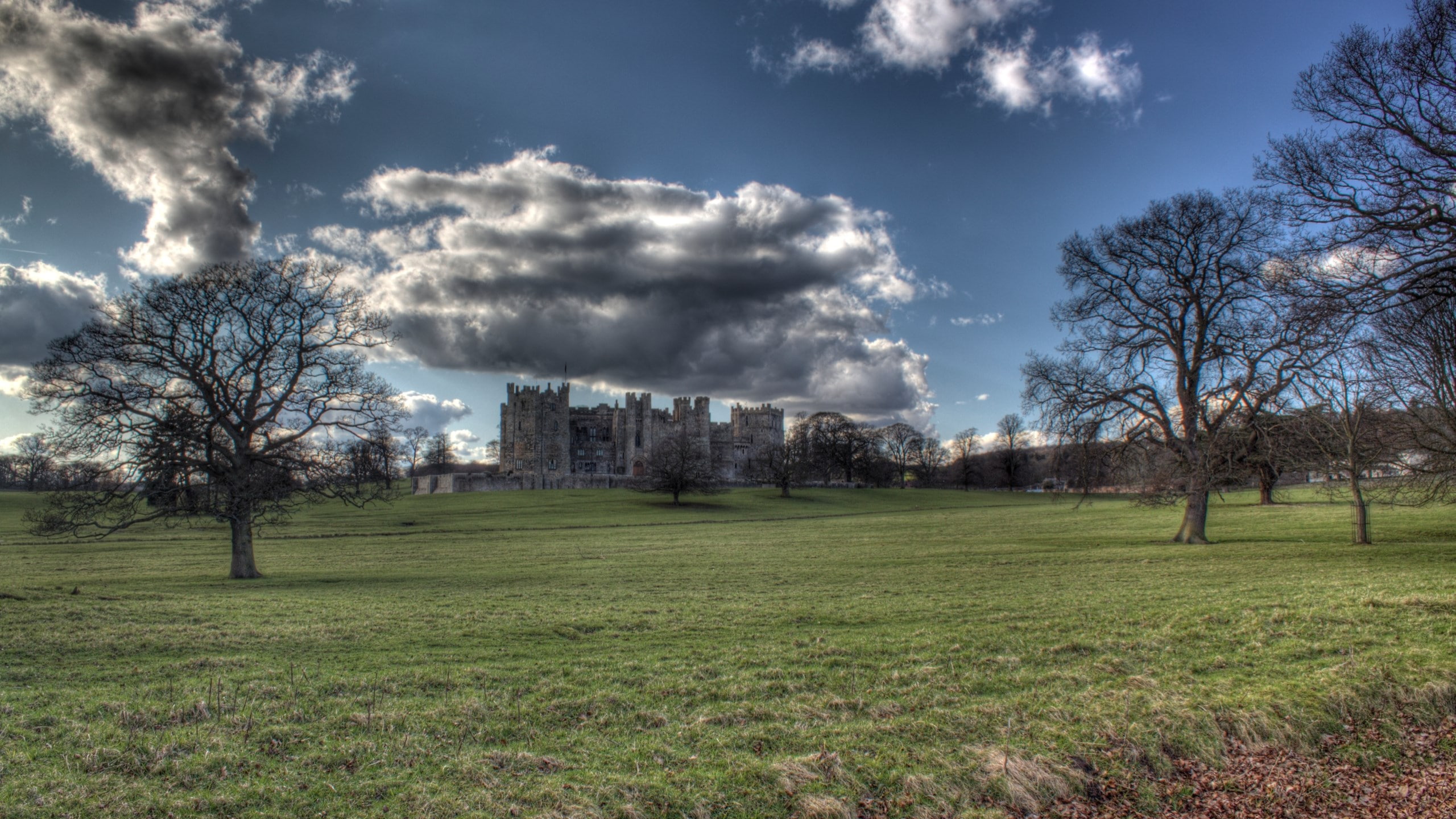 raby castle, grass, 2K, land, cloud - sky, beauty in nature, scenics - nature, outdoors, nature, architecture, bare tree, environment, growth, tree, landscape, HD Wallpaper