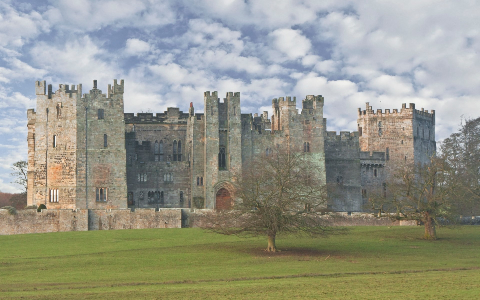 no people, landscape, raby castle, the past, ancient, archaeology, architecture, outdoors, day, sky, grass, tree, building exterior, travel destinations, HD Wallpaper