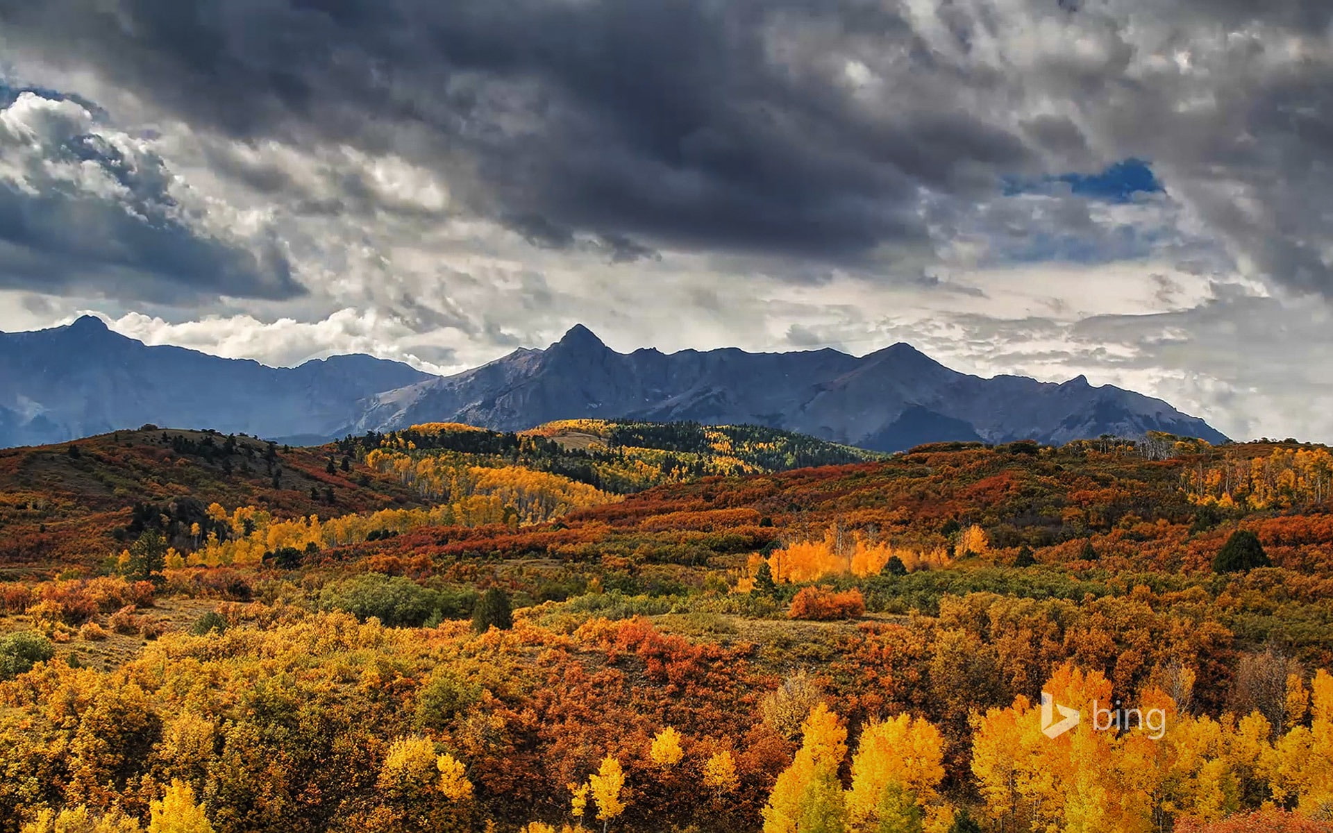 bing, yellow, 1080P, mountain range, autumn collection, mountain, semi-arid, theme, beauty in nature, forest, trees, landscape, land, fall, HD Wallpaper