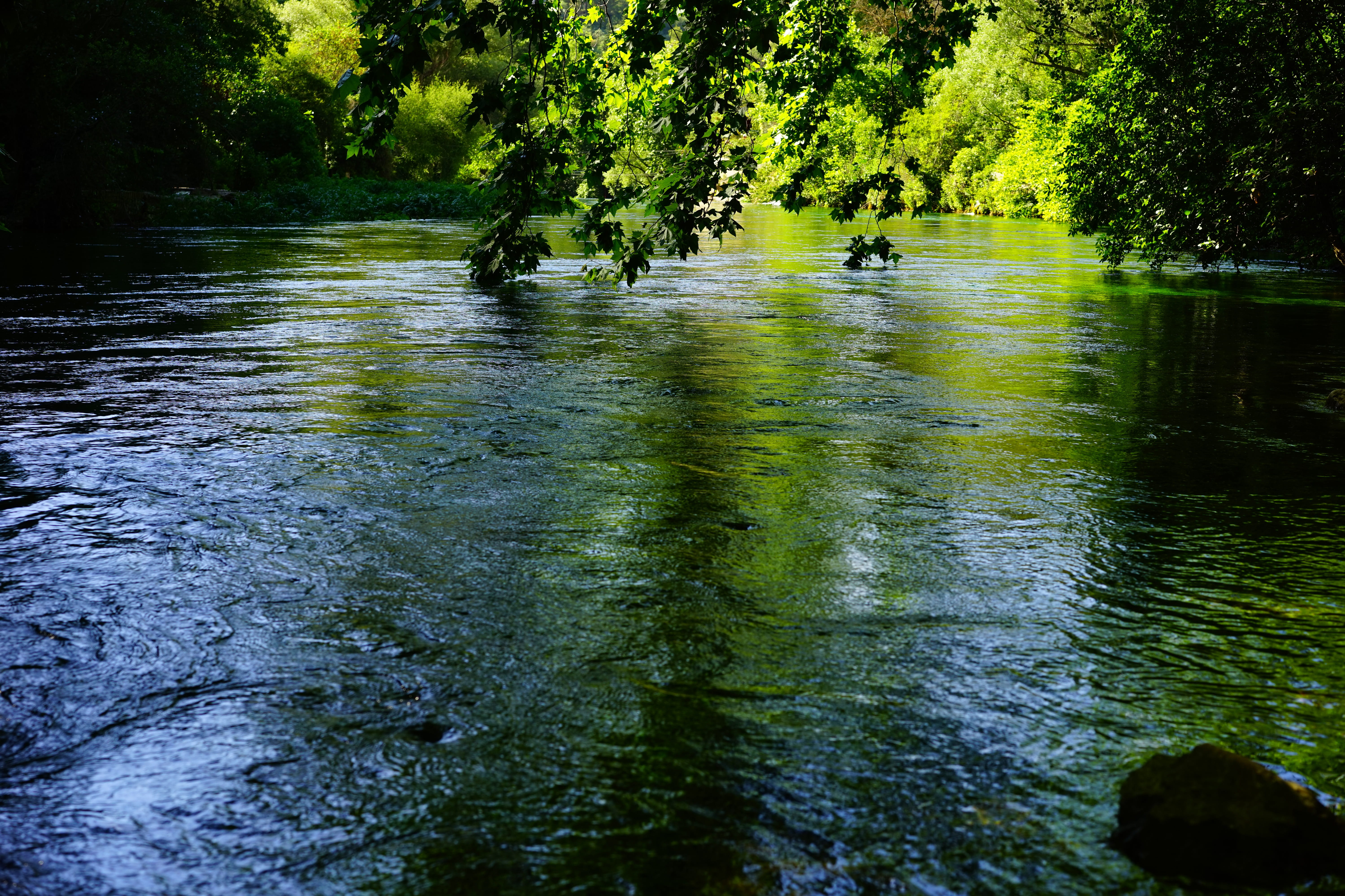 clear, frisch, reflection, shimmer, green color, growth, idyllic, day, water, scenics - nature, 5K, waterfront, france, fontaine-de-vaucluse, provence, HD Wallpaper