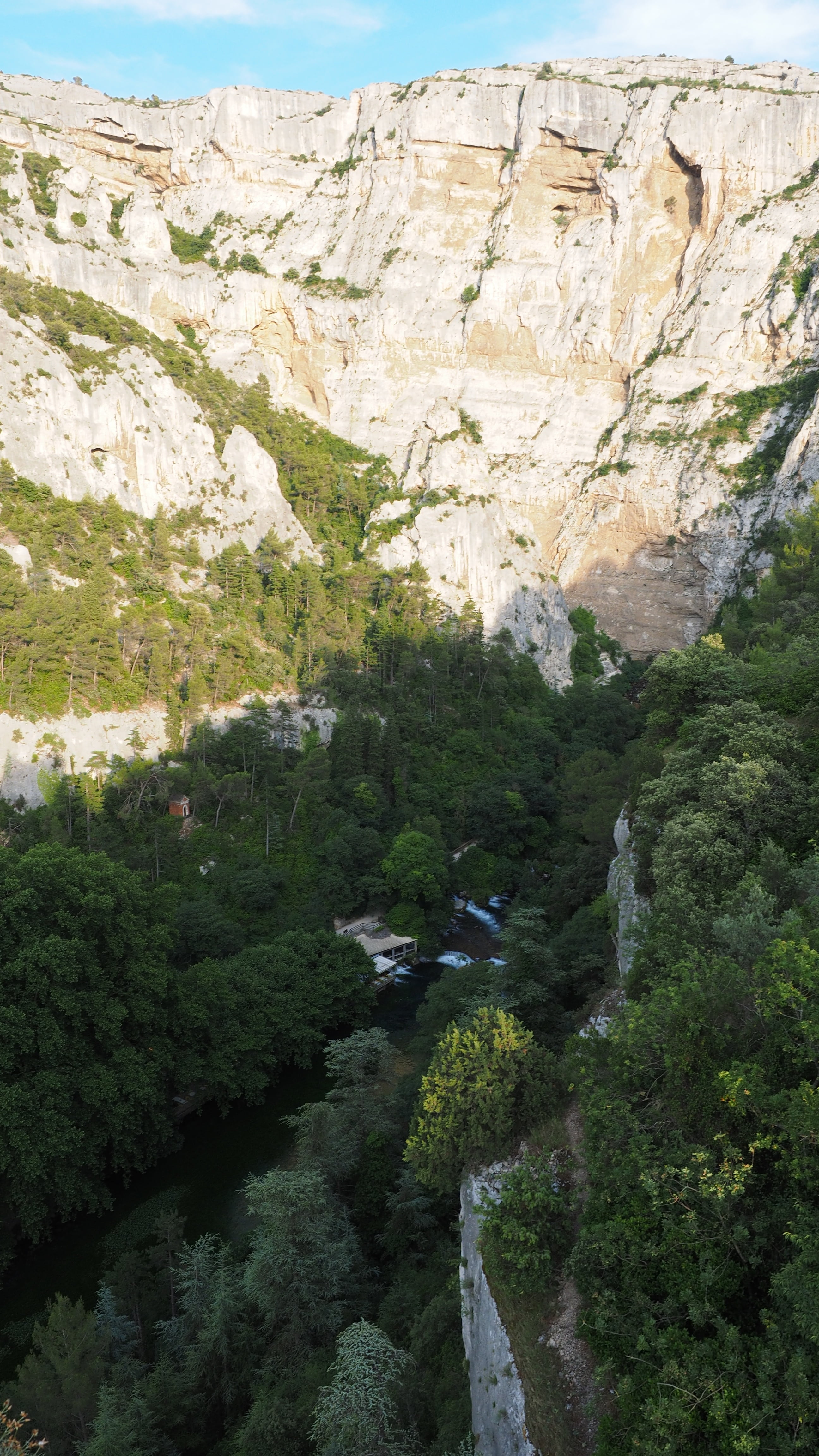 provence, no people, growth, water, formation, ruin of philippe de cabassolle, tree, scenics, scenics - nature, fontaine-de-vaucluse, burgruine, tranquility, Phone HD Wallpaper