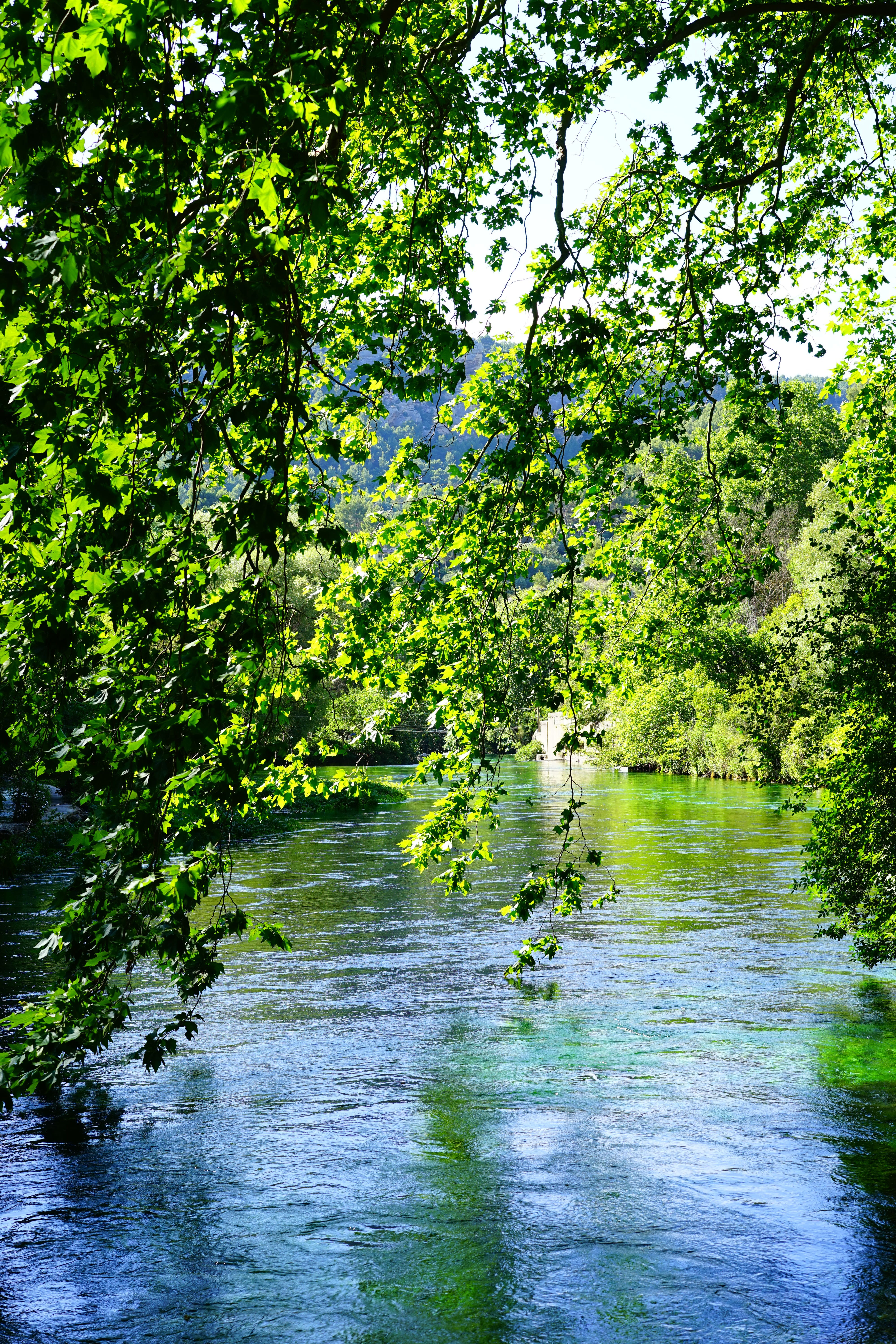 river, blue, growth, clear, nature, sorgue, idyllic, tranquil scene, no people, water, beauty in nature, day, tranquility, frisch, shimmer, fontaine-de-vaucluse, Phone HD Wallpaper