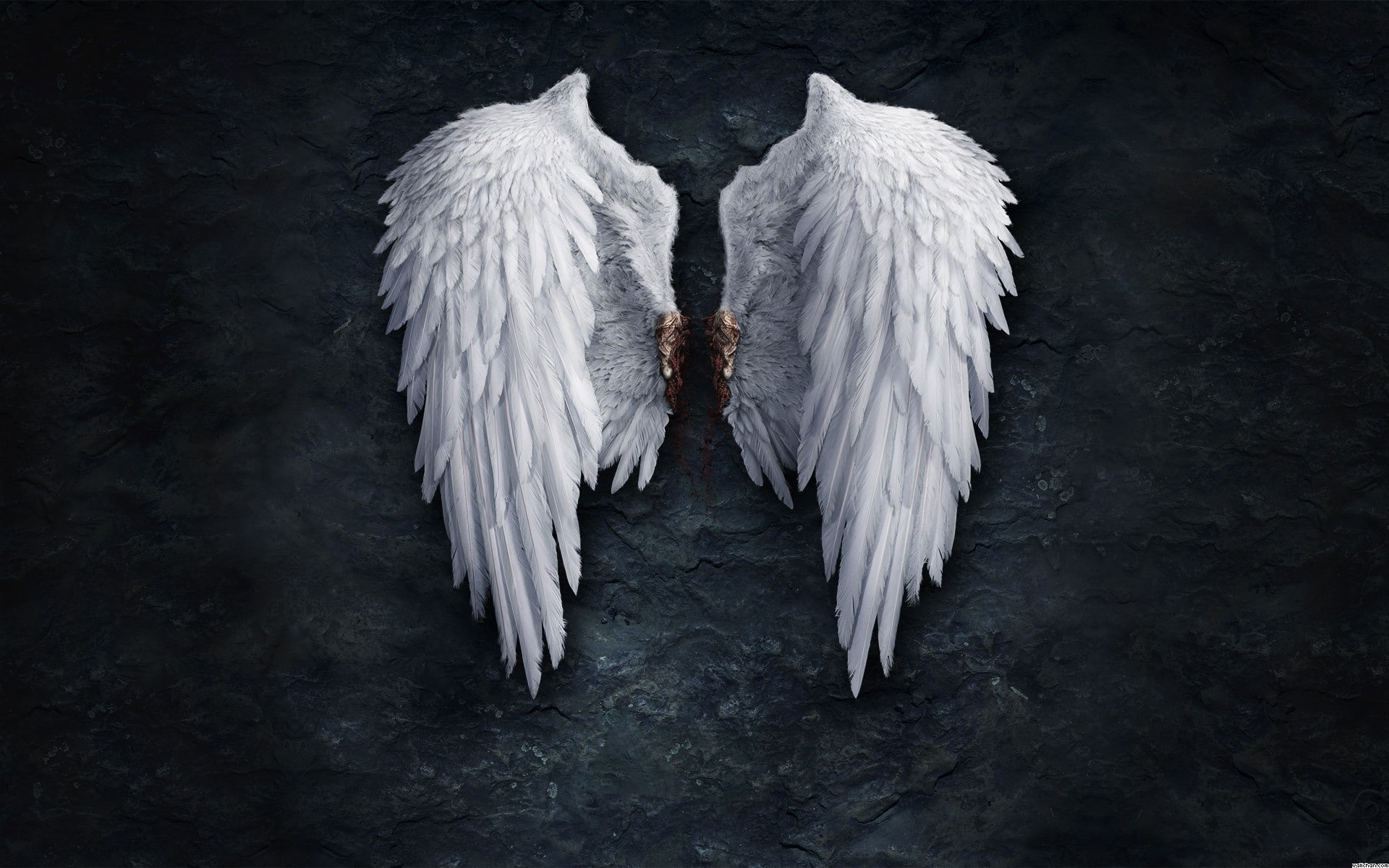 1080P, Aion, HD Wallpaper
