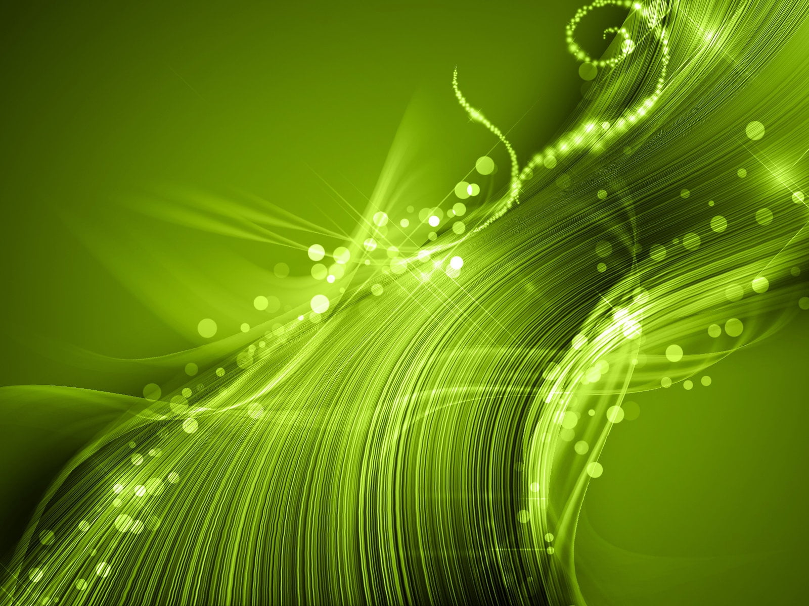 shape, modern, shine, flowing, internet, design, nature, motion, no people, backdrop, dew, white, lines, fiber optic, curve, plant, multi Colored, growth, HD Wallpaper