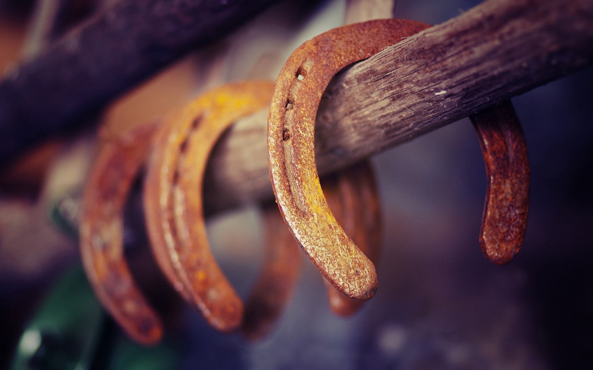 horseshoe, selective focus, rust, day, cultures, horseshoes, old, run-down, steel, iron - Metal, no People, textured, brown, focus on foreground, rusty, HD Wallpaper