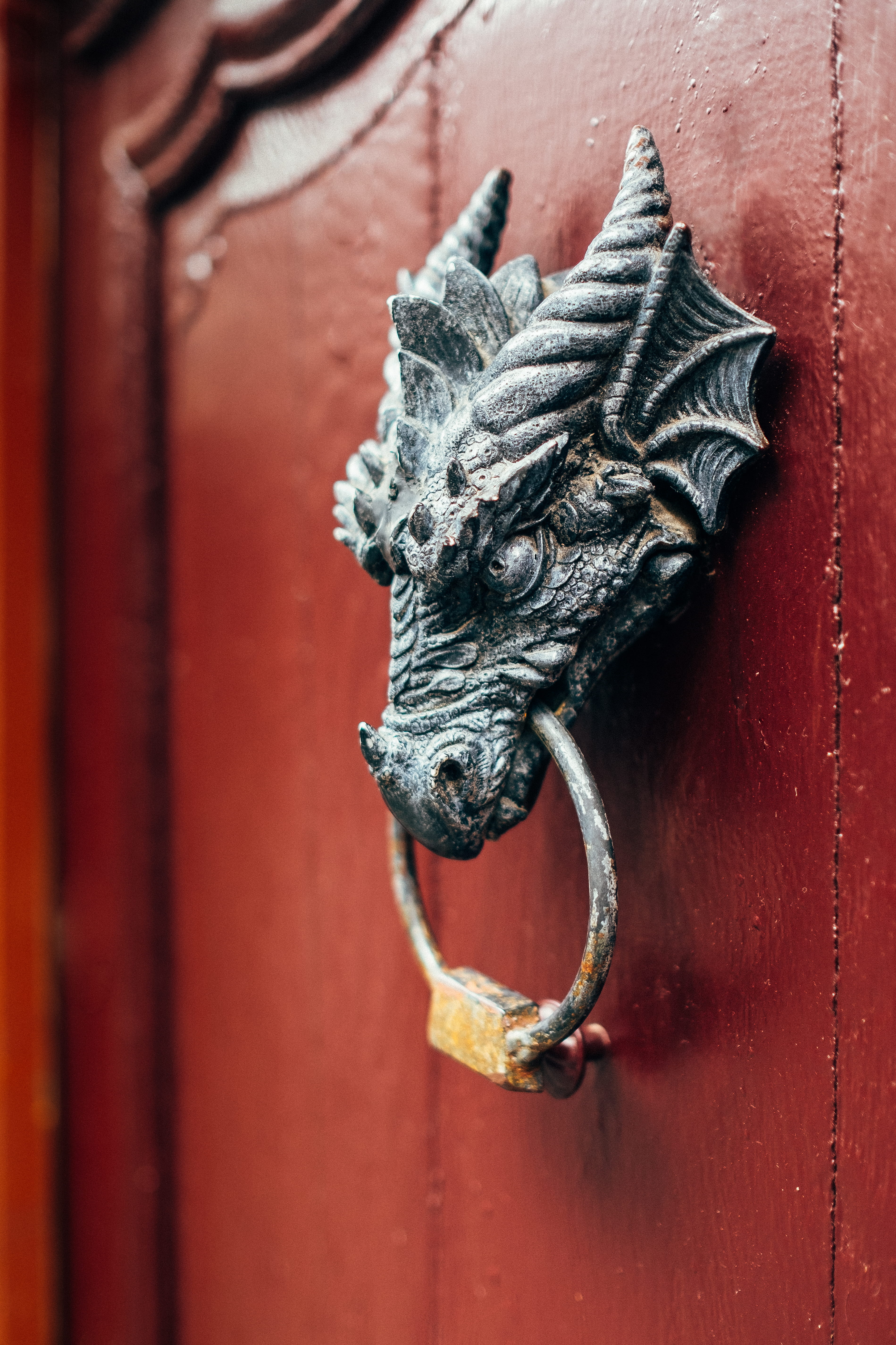 rust, wood, animal wildlife, 5K, feline, metal, door knocker, banister, knob, mammal, germany, animal representation, representation, handrail, protection, Phone HD Wallpaper