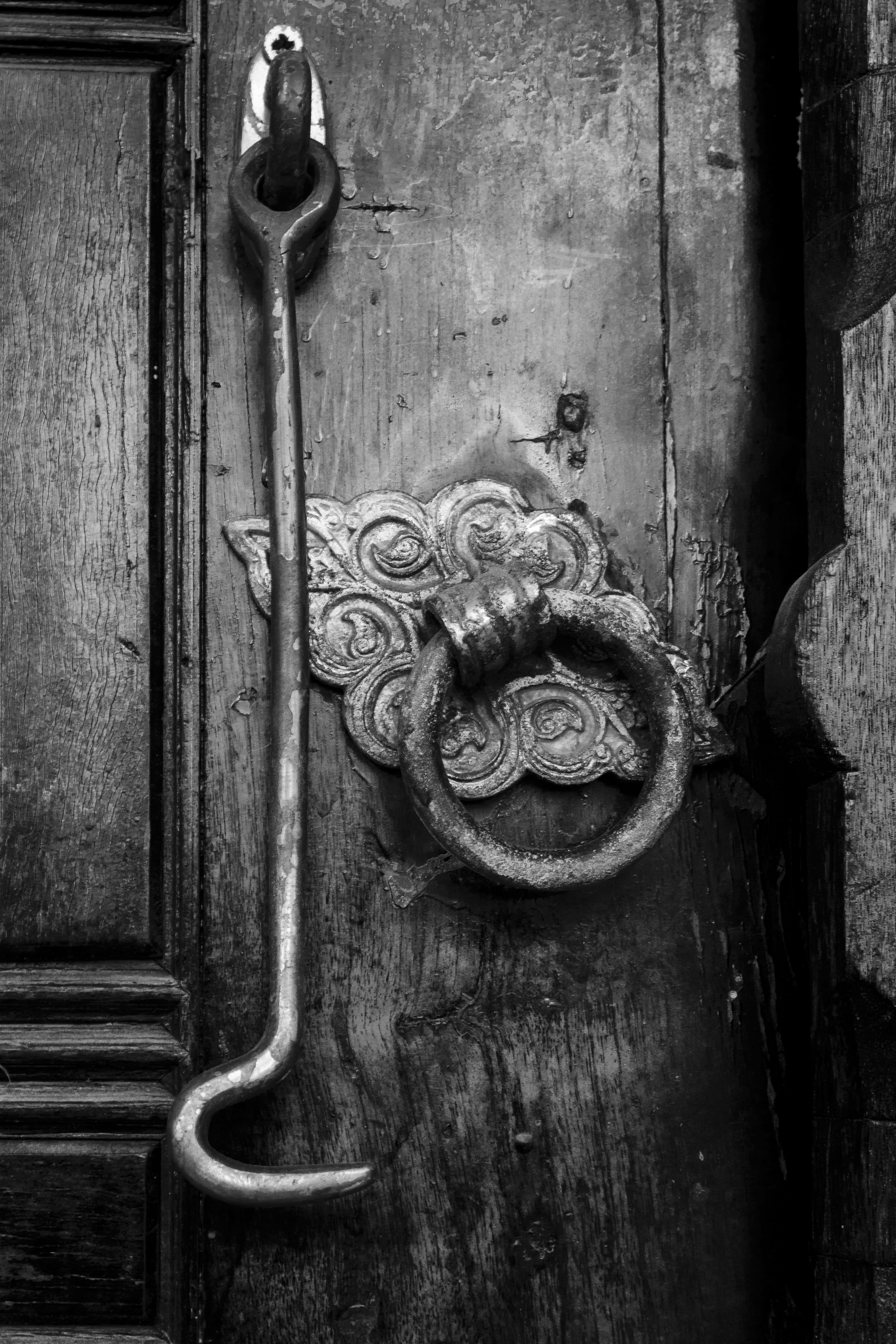 lion - feline, door knocker, metal, closed, Door, knob, design, on, entrance, ornate, safety, close-up, wood - material, ancient, key, old, black and white, Phone HD Wallpaper