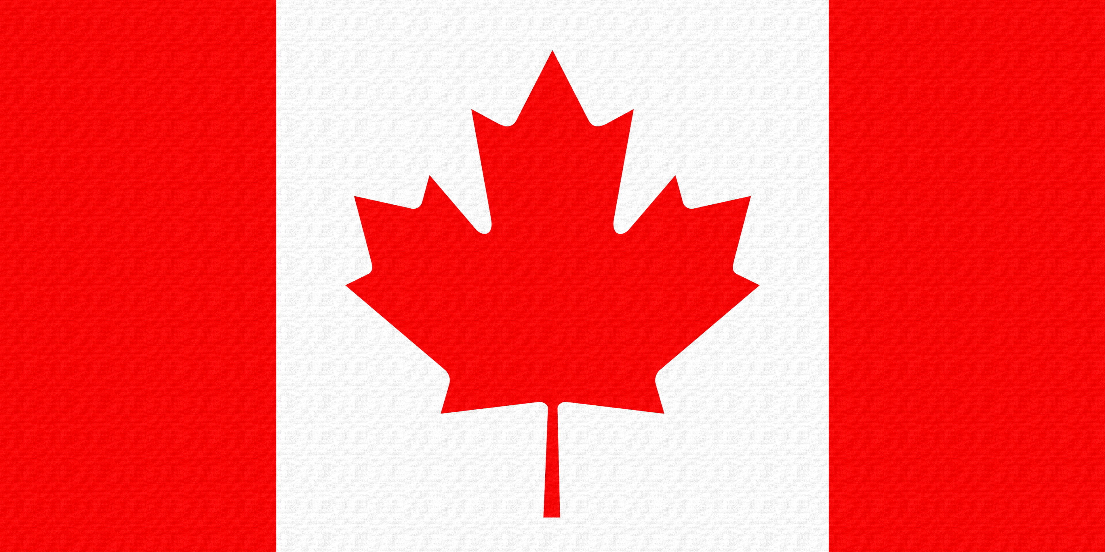 Sheet, patriotism, 4K, textured effect, close-up, Flag, Coat of arms, leaf, white background, pride, red, Canada, no people, clean, symbol, insignia, single object, HD Wallpaper