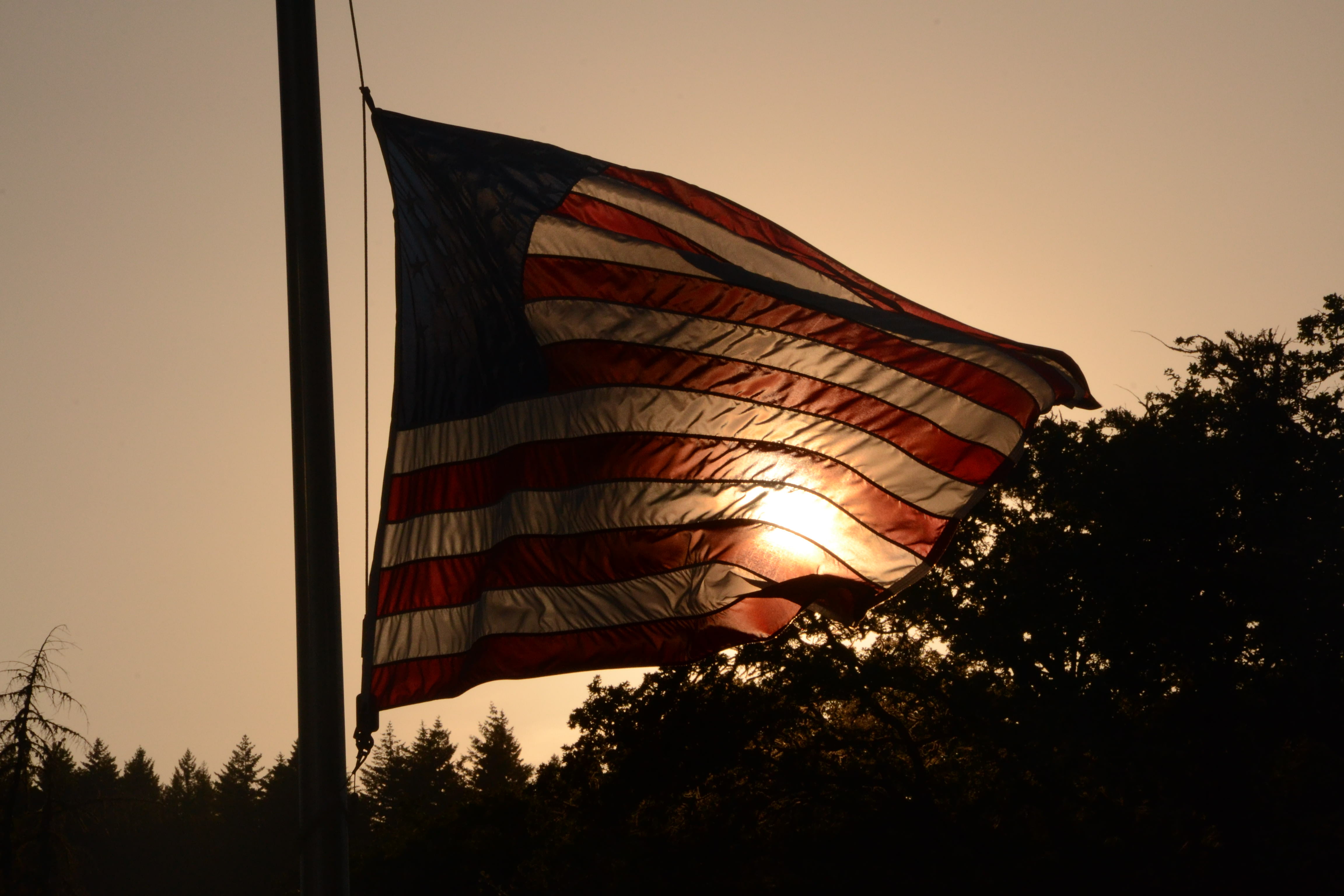 outdoors, clear sky, no people, environment, sunlight, silhouette, tree, sky, low angle view, pride, flag, nature, sunset, plant, 4K, day, patriotism, HD Wallpaper