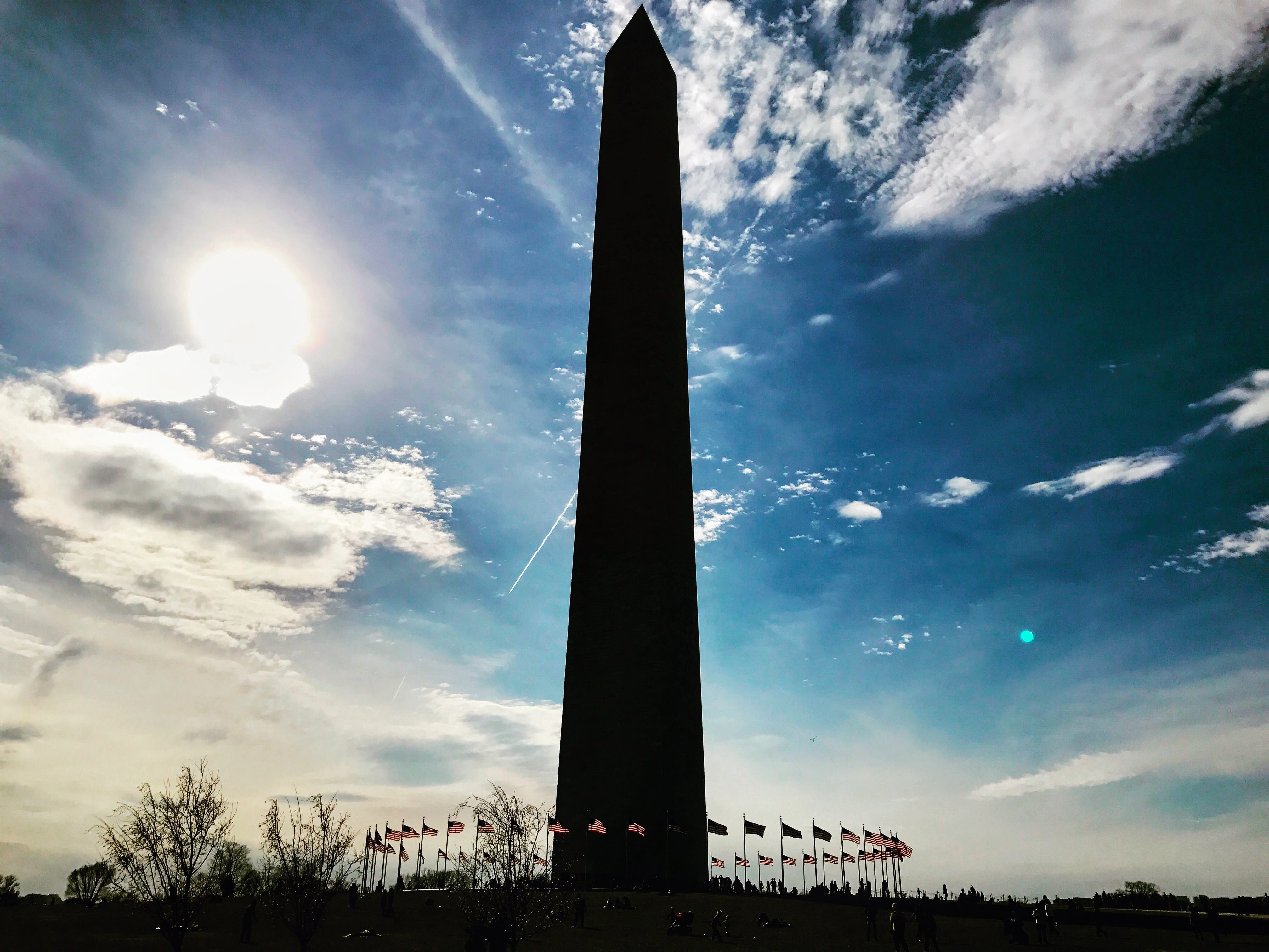tree, no people, travel destinations, view, architecture, flag, lens flare, united states, nature, 4K, low angle view, usa, 2 15th st nw, building, dc, HD Wallpaper