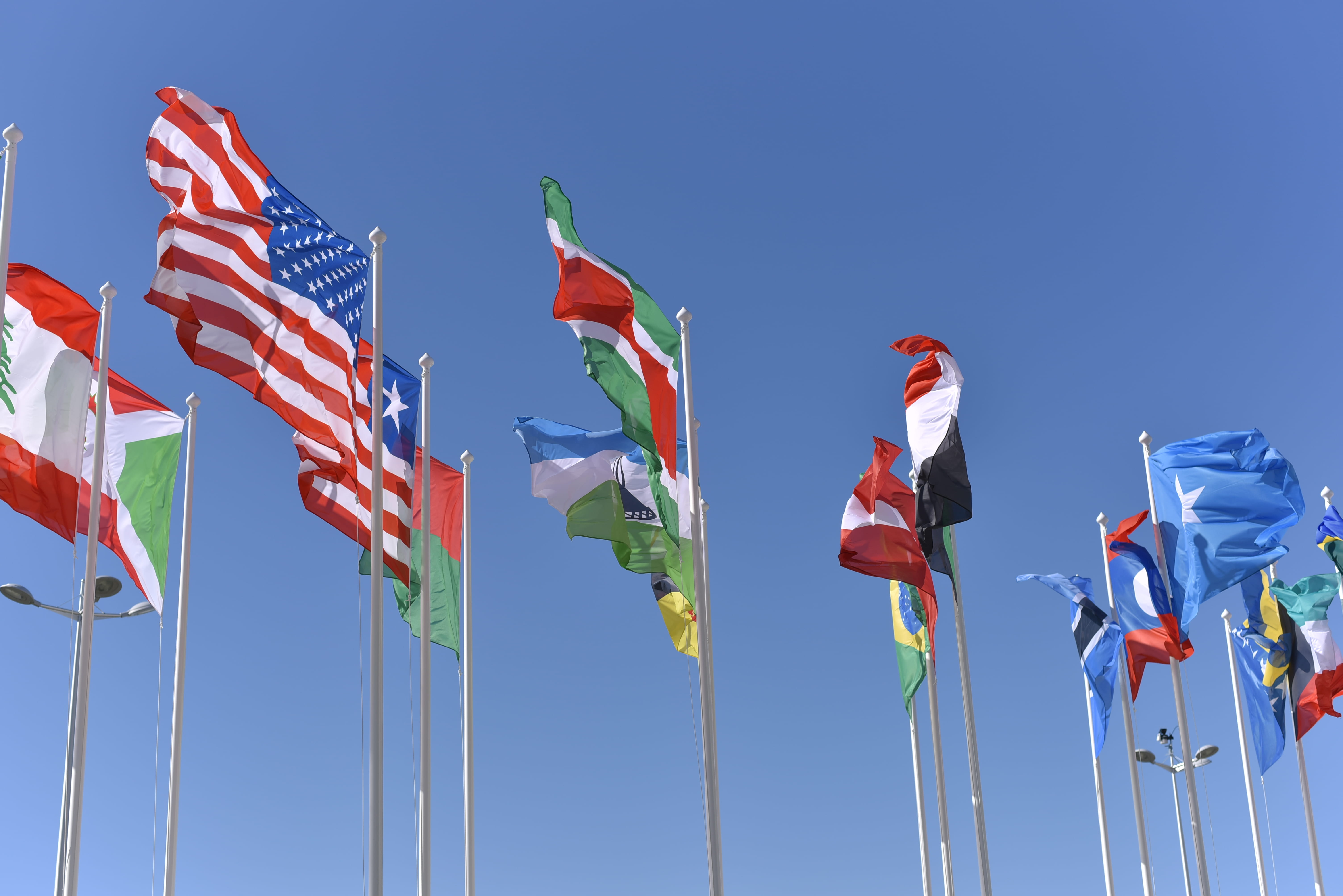 nature, 5K, sunny, patriotism, teamwork, flag, day, in a row, sky, cooperation, low angle view, variation, environment, country, people, clear sky, government, HD Wallpaper