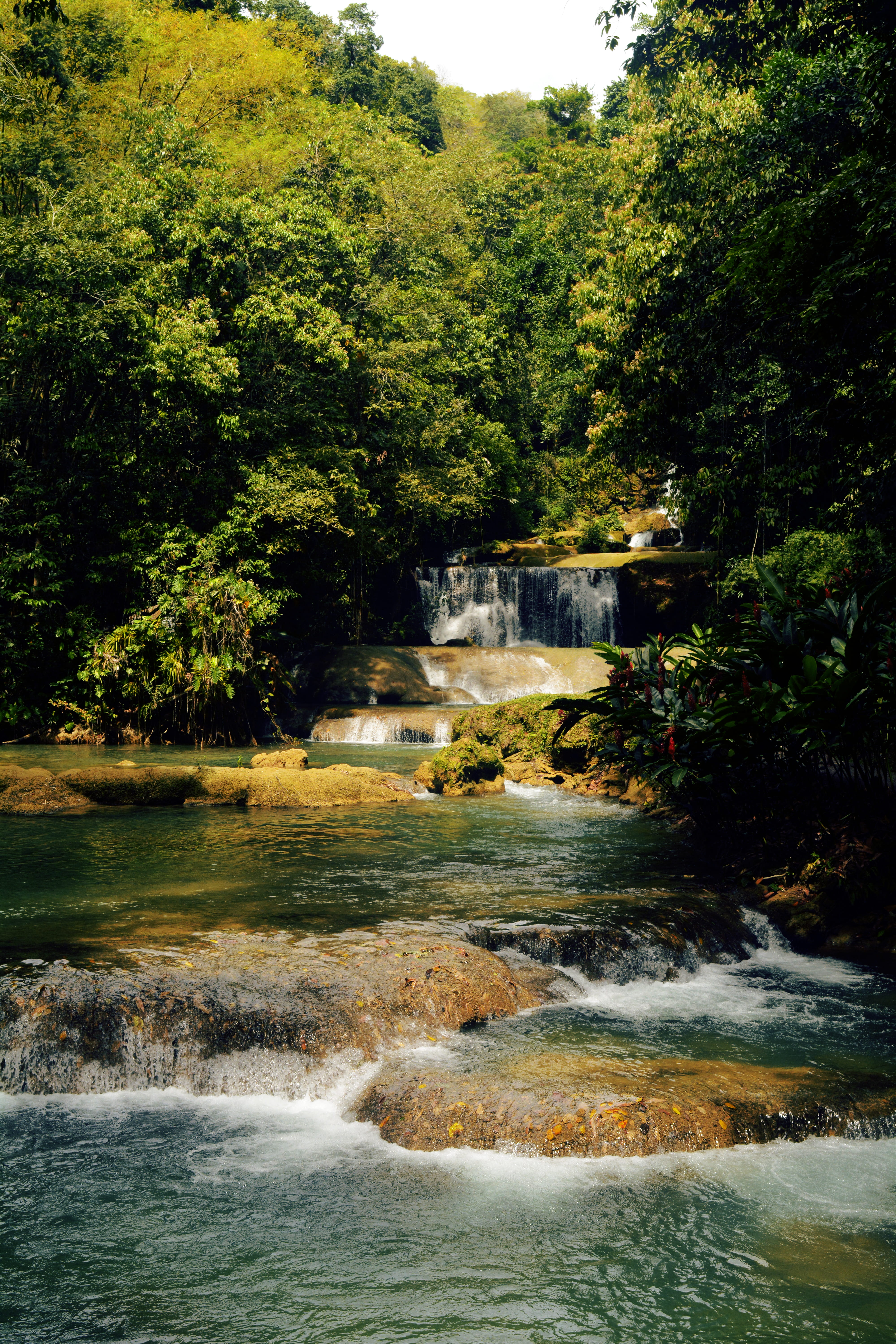 growth, scenics - nature, forest, motion, beauty in nature, jamaica, blurred motion, water, 5K, falls, land, ys falls, environment, flowing, power in nature, Phone HD Wallpaper