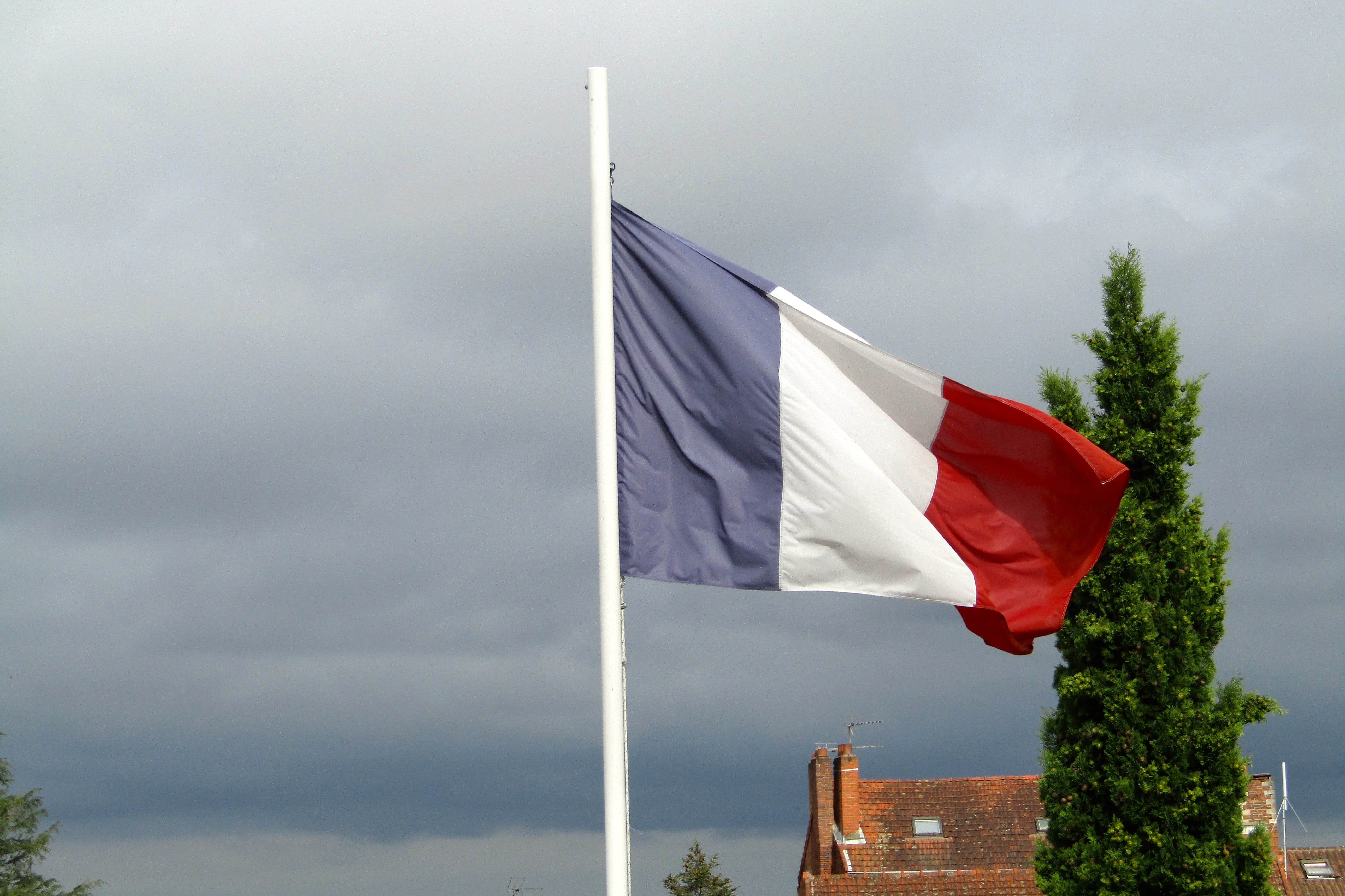 pole, tree, pride, wind, state, cloud - sky, built structure, french flag, day, architecture, nature, waving, 5K, country, tribute, environment, patriotism, HD Wallpaper