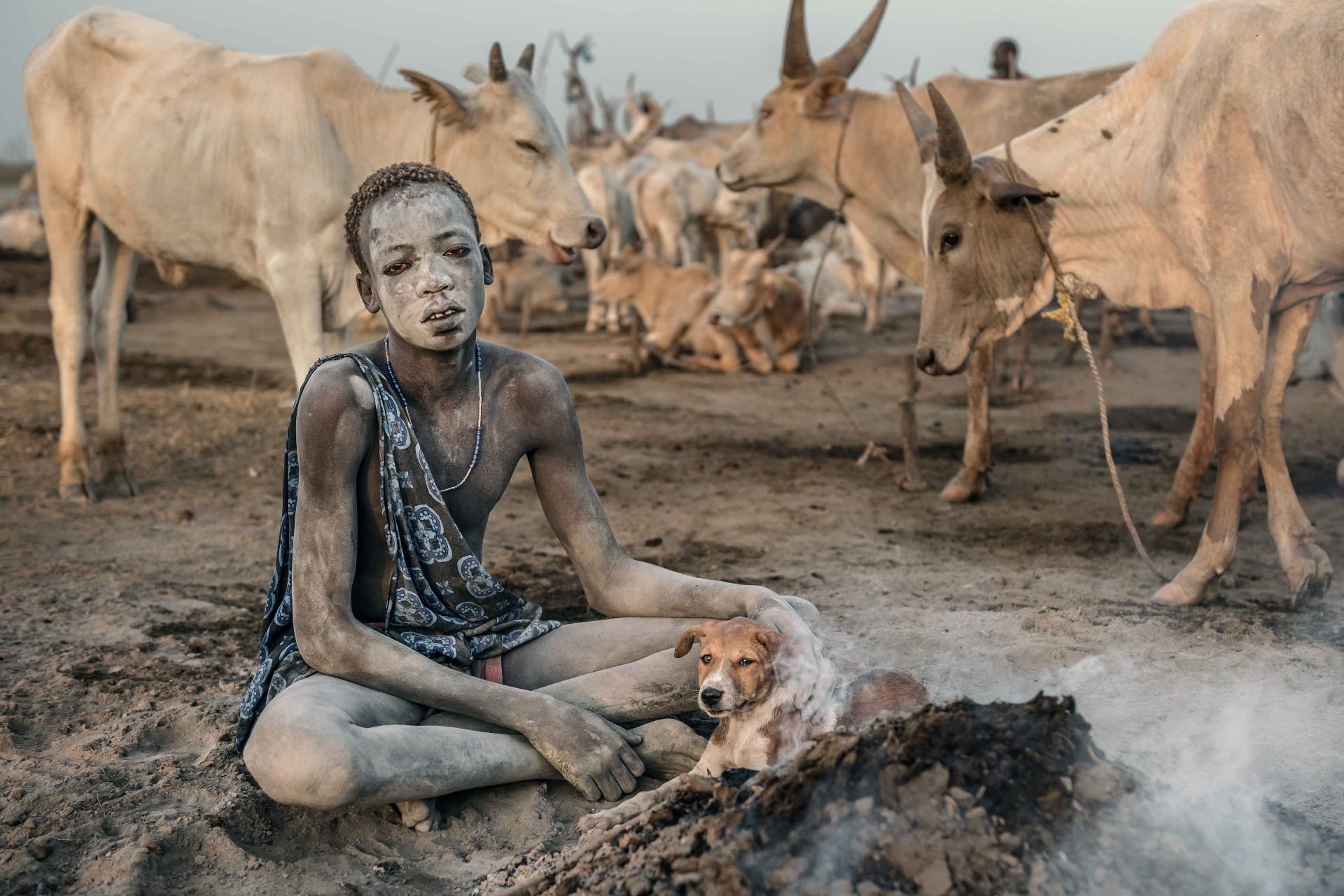 Sudan (Country), animals, people, 1080P, HD Wallpaper