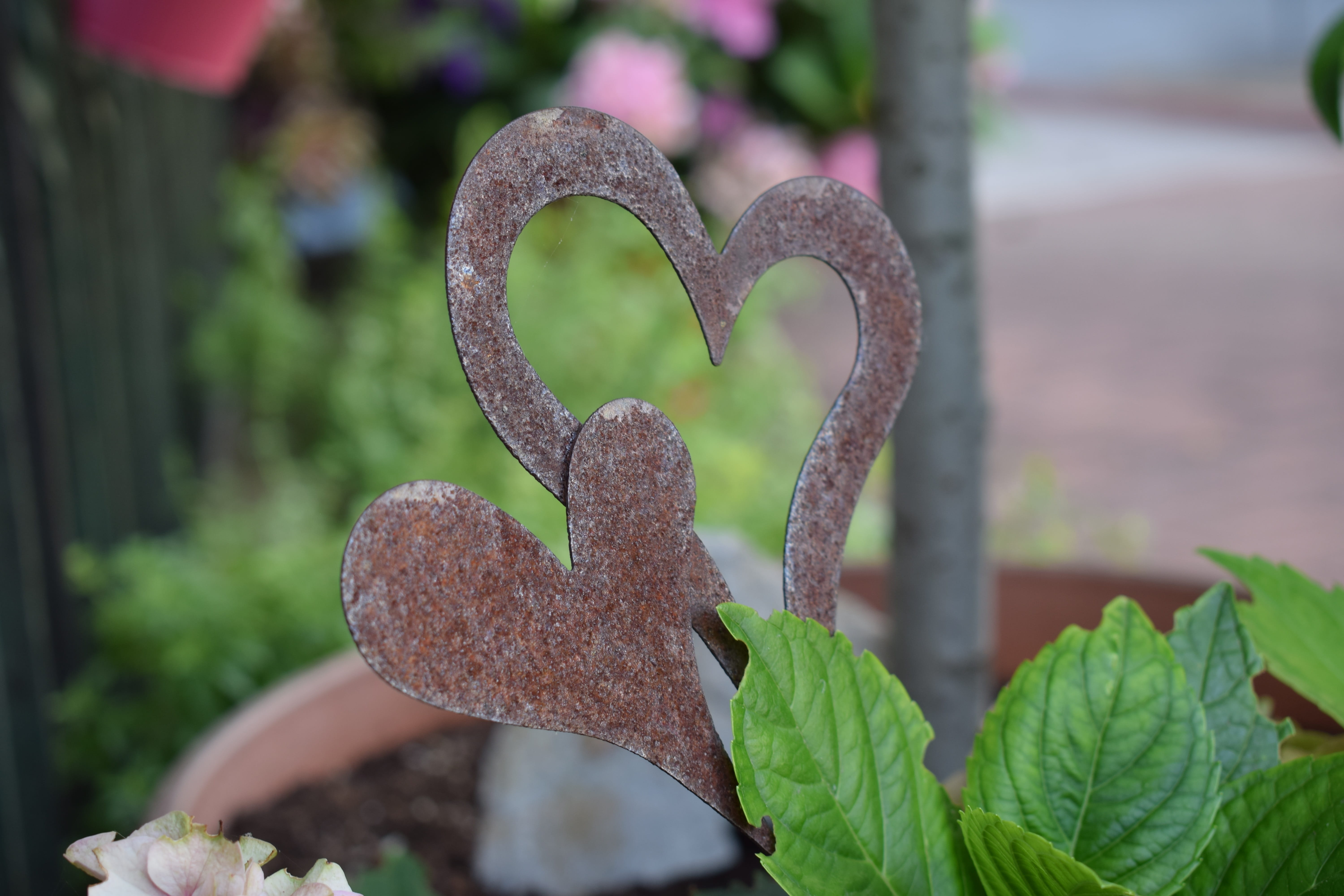 focus on foreground, Garden, connectedness, leaf, garden decoration, no people, emotion, Decoration, design, love, plant, symbolic, day, nature, rusty, HD Wallpaper