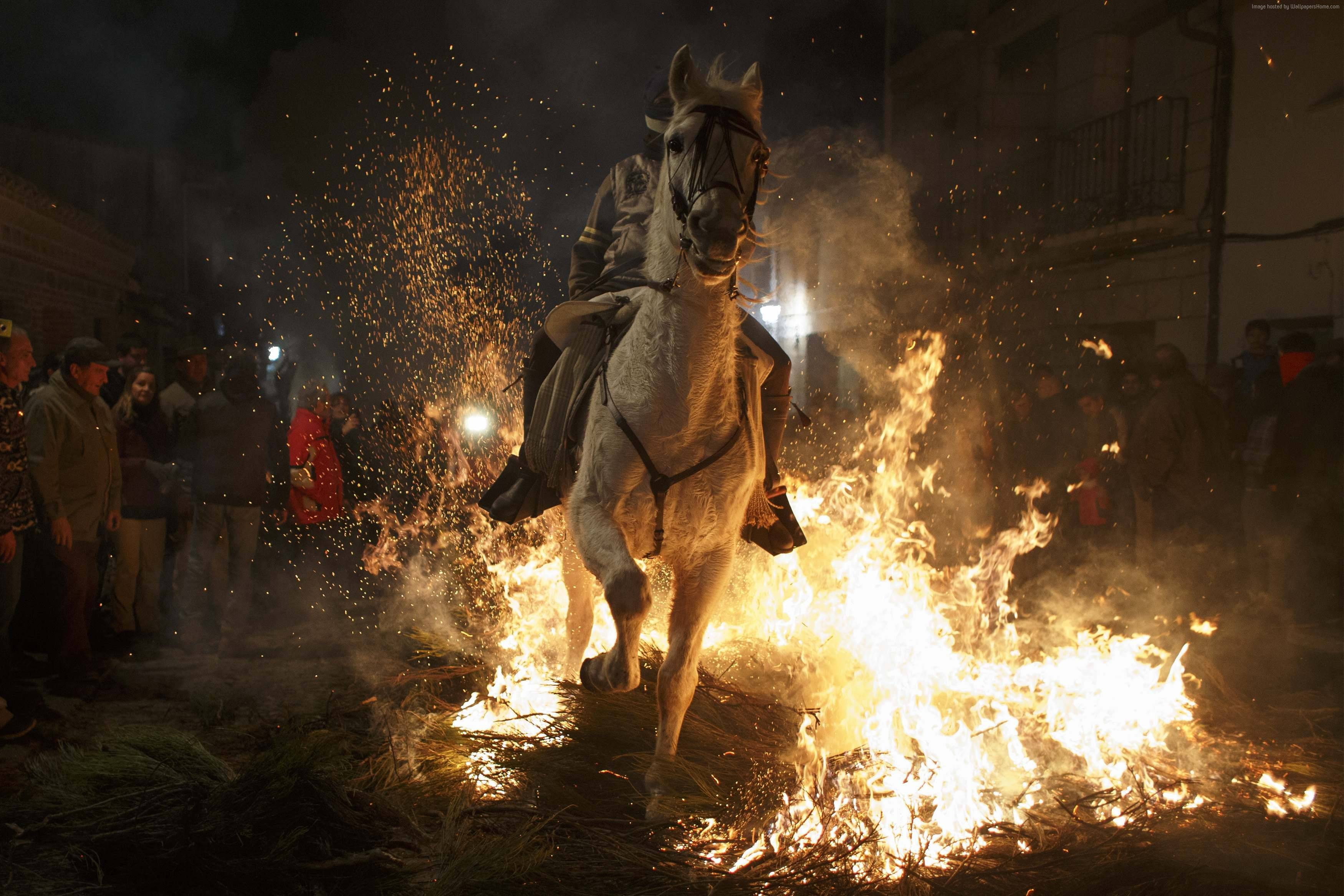 festival, 2K, Vikings, torchlight procession, Scotland, Up-Helly-Аa, fire, event, HD Wallpaper