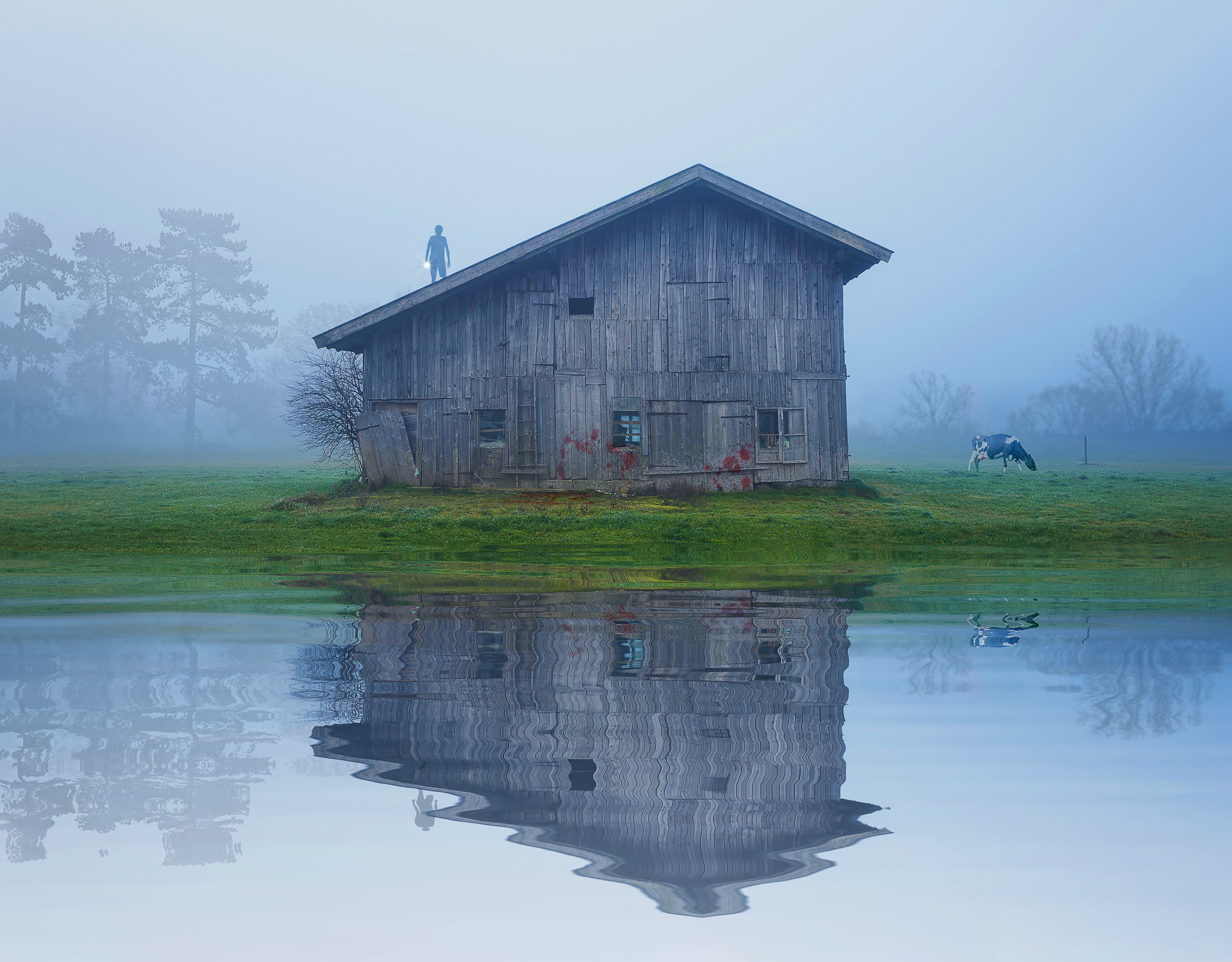 Reflections, Cow, 5K, Torchlight, 5K, Lake, Foggy, Barn, HD Wallpaper