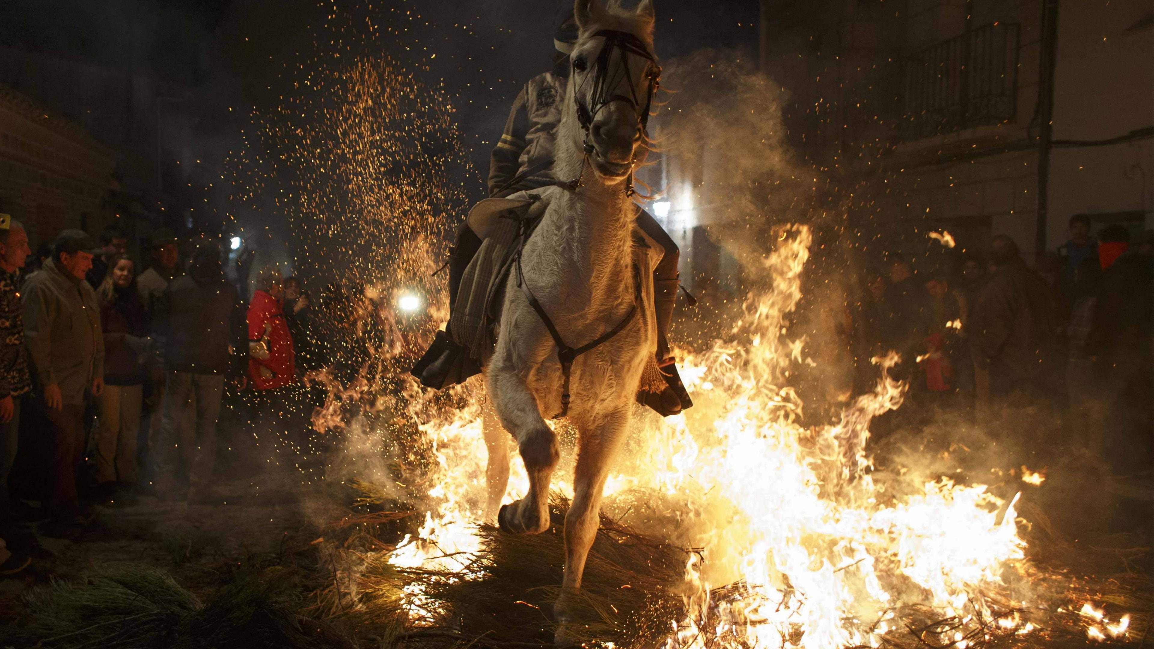Up-Helly-Аa, Scotland, horse, Vikings, fire, running, festival, 4K, night, time, event, torchlight procession, HD Wallpaper