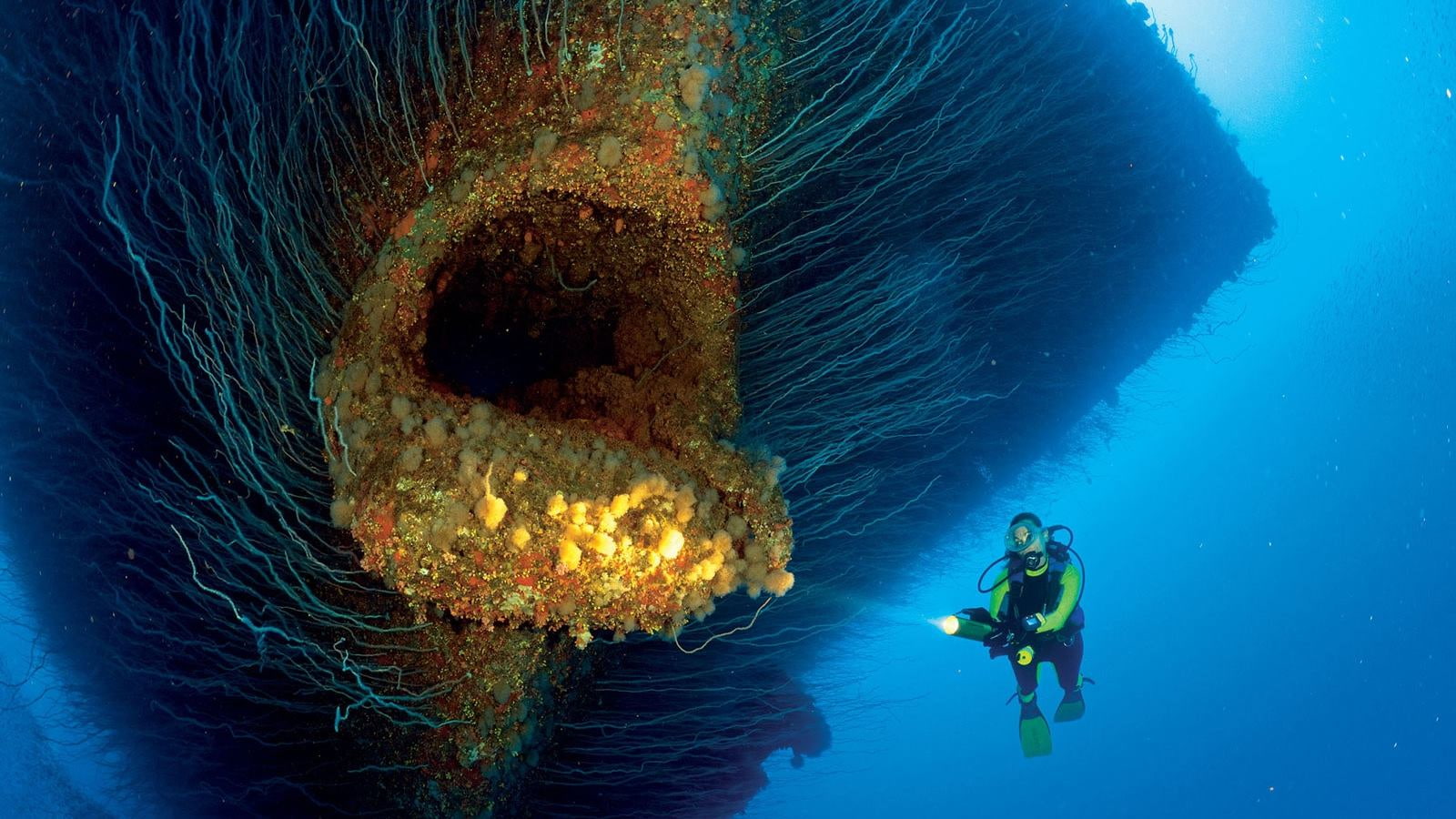 720P, sea, underwater, water, Marshall Islands, women, Bikini Atoll, blue, divers, torchlight, shipwreck, nature, lights, goggles, coral, HD Wallpaper