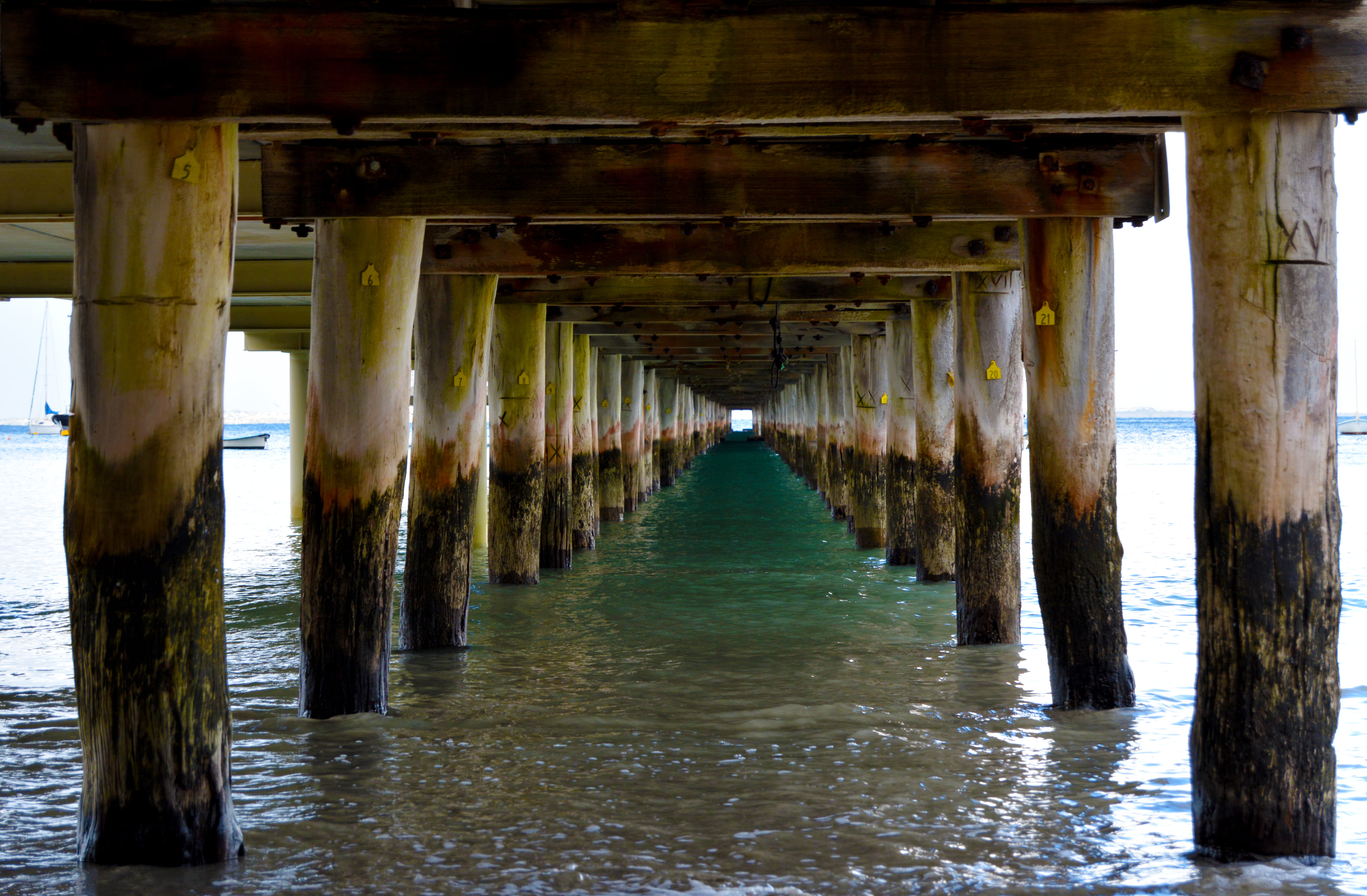 architecture, tunnel, ocean, beach, day, docks, water, nature, seaside, boast, wood, victoria, outdoors, jetty, wooden post, colonnade, below, pier, waterfront, HD Wallpaper