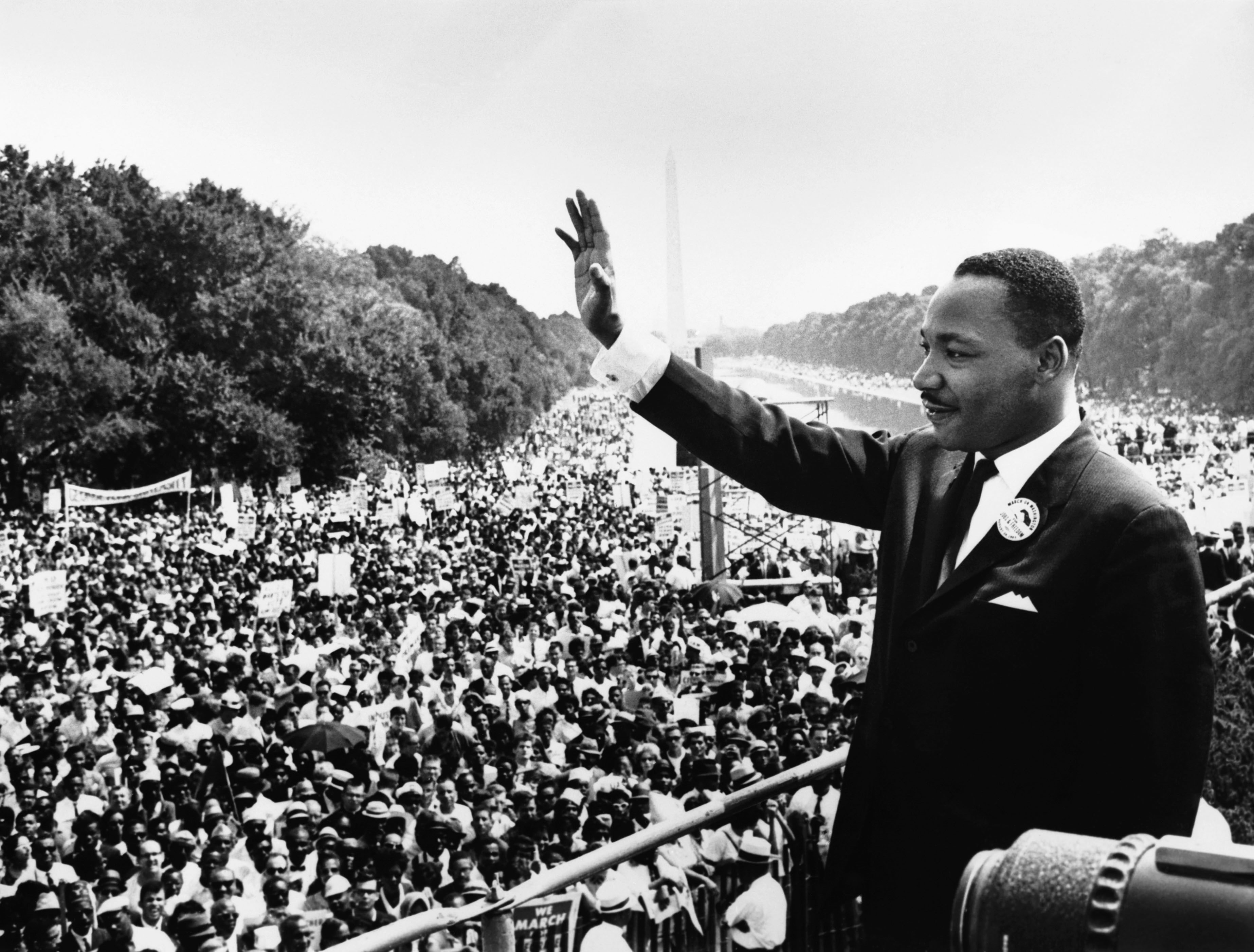 leisure activity, holding, standing, side view, one person, martin luther king jr, men, 2K, young adult, mid adult men, adult, lifestyles, tree, nature, HD Wallpaper
