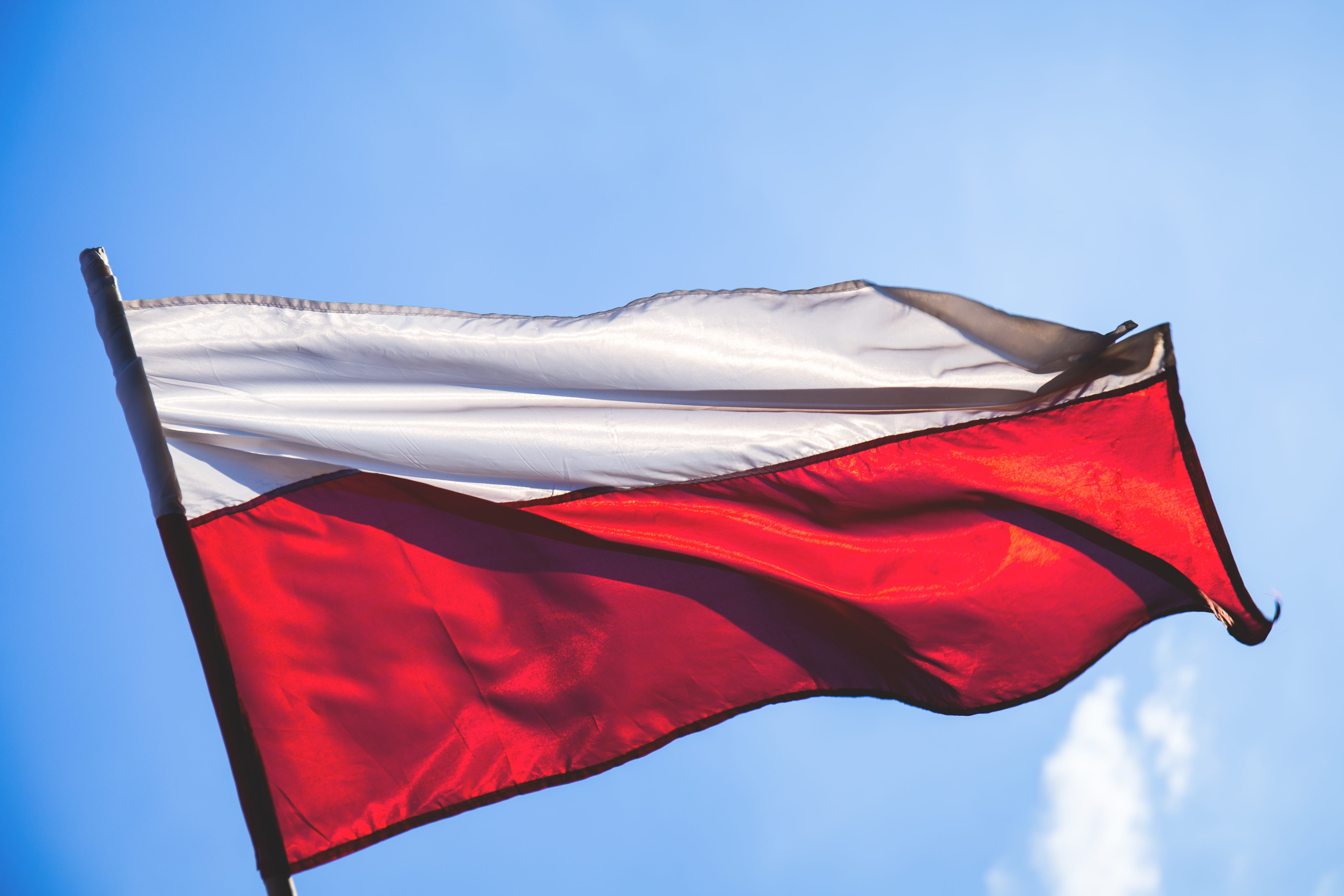 motion, independence, white, flag, nature, silk, symbol, waving, windy, national, no people, freedom, emotion, polish, close-up, poland, national icon, HD Wallpaper